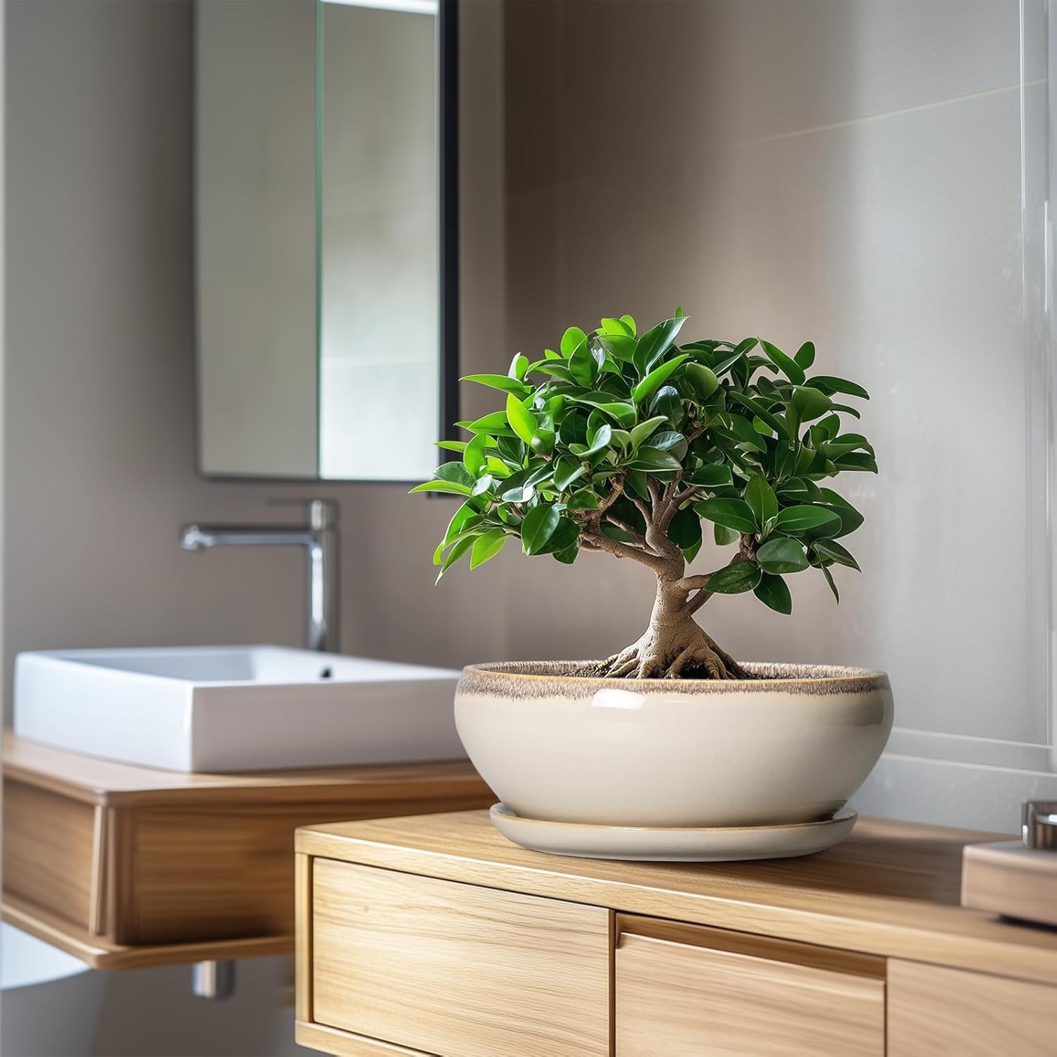 SQOWL Bonsai Tree Pots - 10 Inch Ceramic Succulent Pots, Round Shallow Planter with Drainage Hole and Tray, Bowl Planter for Indoor Outdoor Plants Flowers, Room Decor, Garden Gifts, Beige