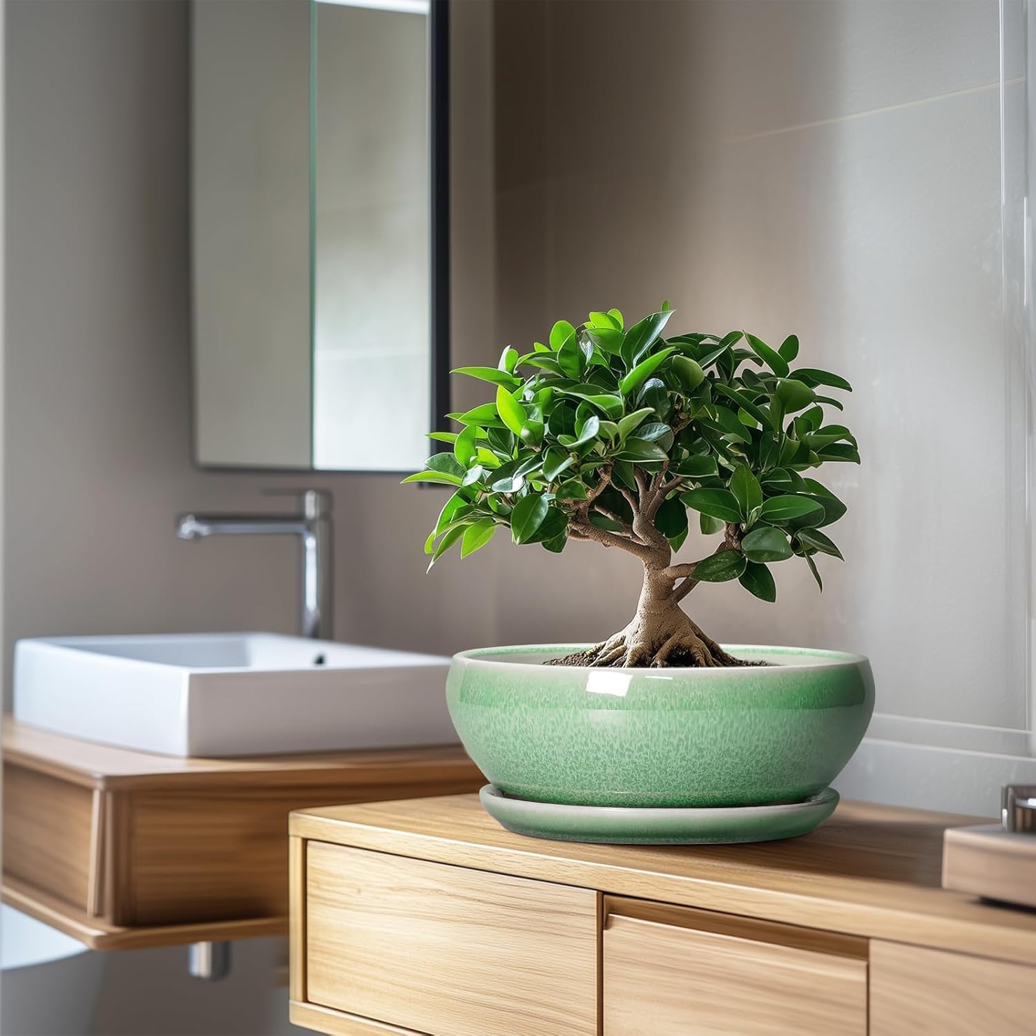 SQOWL Bonsai Pots - 10 Inch Ceramic Succulent Pots with Drainage Hole and Saucer, Shallow Planter for Indoor Plants Flowers, Round Planter Bowl, Living Room Decor, Plant Lover Gifts, Green