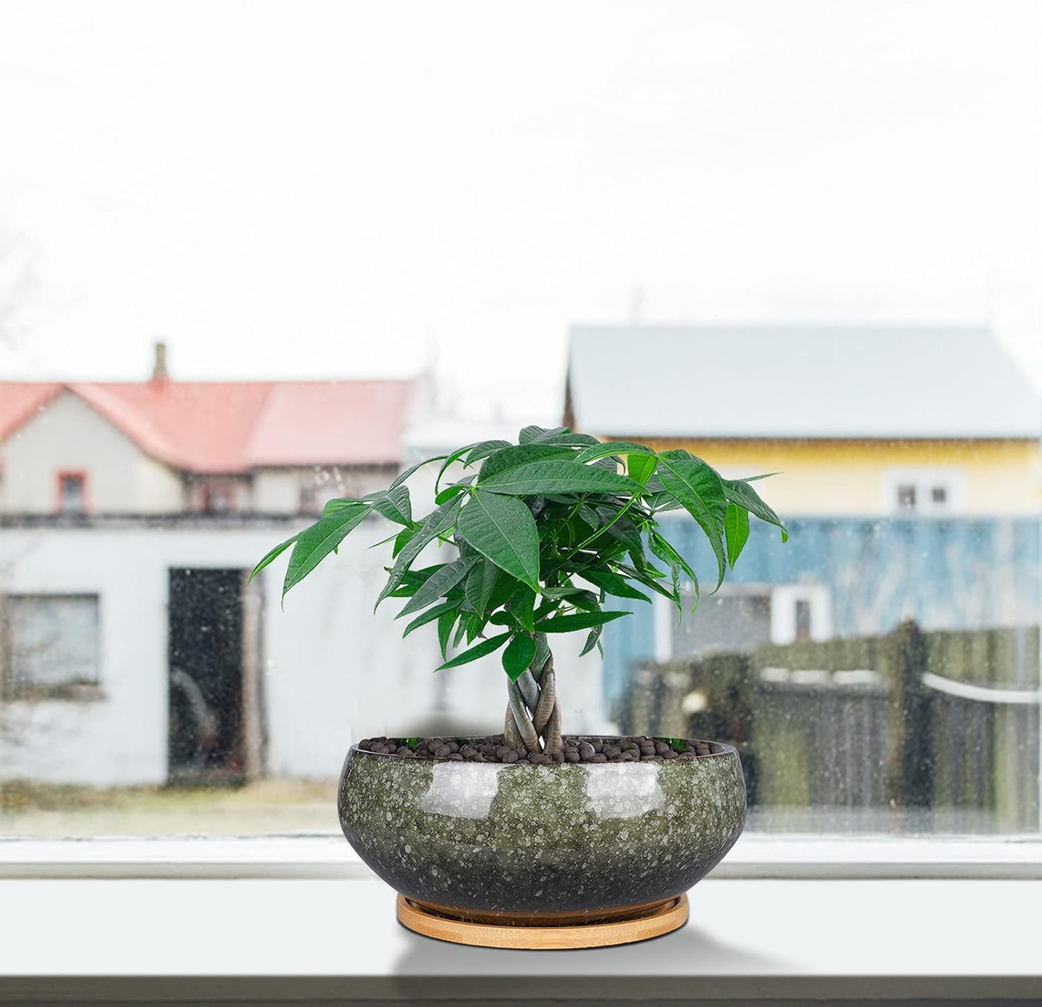 8 Inch Ceramic Bonsai Planter Pot, Glazed Shallow Succulent Planter with Drainage Hole and Bamboo Saucer for Indoor Plants, Brown