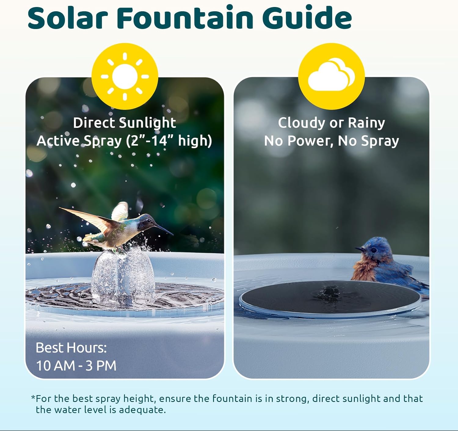 Birdfy Smart Bird Bath with Camera Solar Powered & Fountain, Dual-Lens Camera for Wildbird Watching, Auto Capture Bird Videos & Motion Detection - AI Lifetime Version