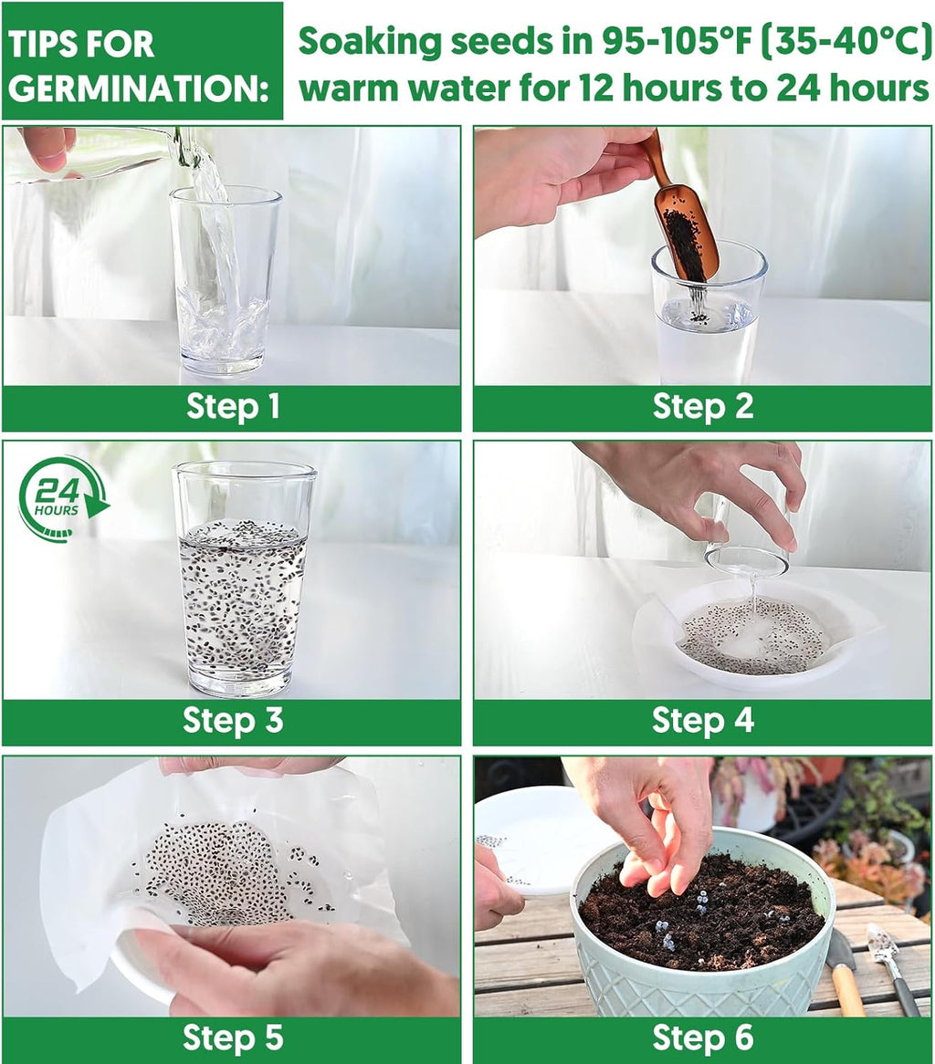 18 Varieties Herb & Vegetable Seeds for Hydroponic, 13000+ Seeds for Indoor Outdoor Garden Planting Home Veggie Herb, Heirloom Non-GMO Culinary Collection Gift Pack