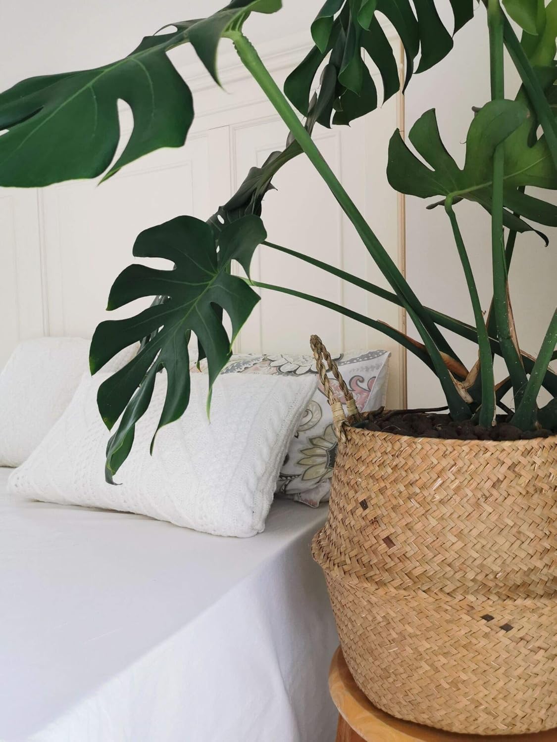 Extra Large Seagrass Plant Basket with Handles, Wicker Woven Storage Basket (14.1“ Diameter x 13.8" Height), Natural)