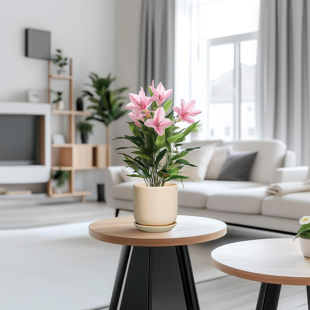 Ceramic Flower Pot 5 Inch - Round Succulent Planter for Indoor Plants with Drainage Hole and Saucer, Patio Room House Office Home Decor, Yellow