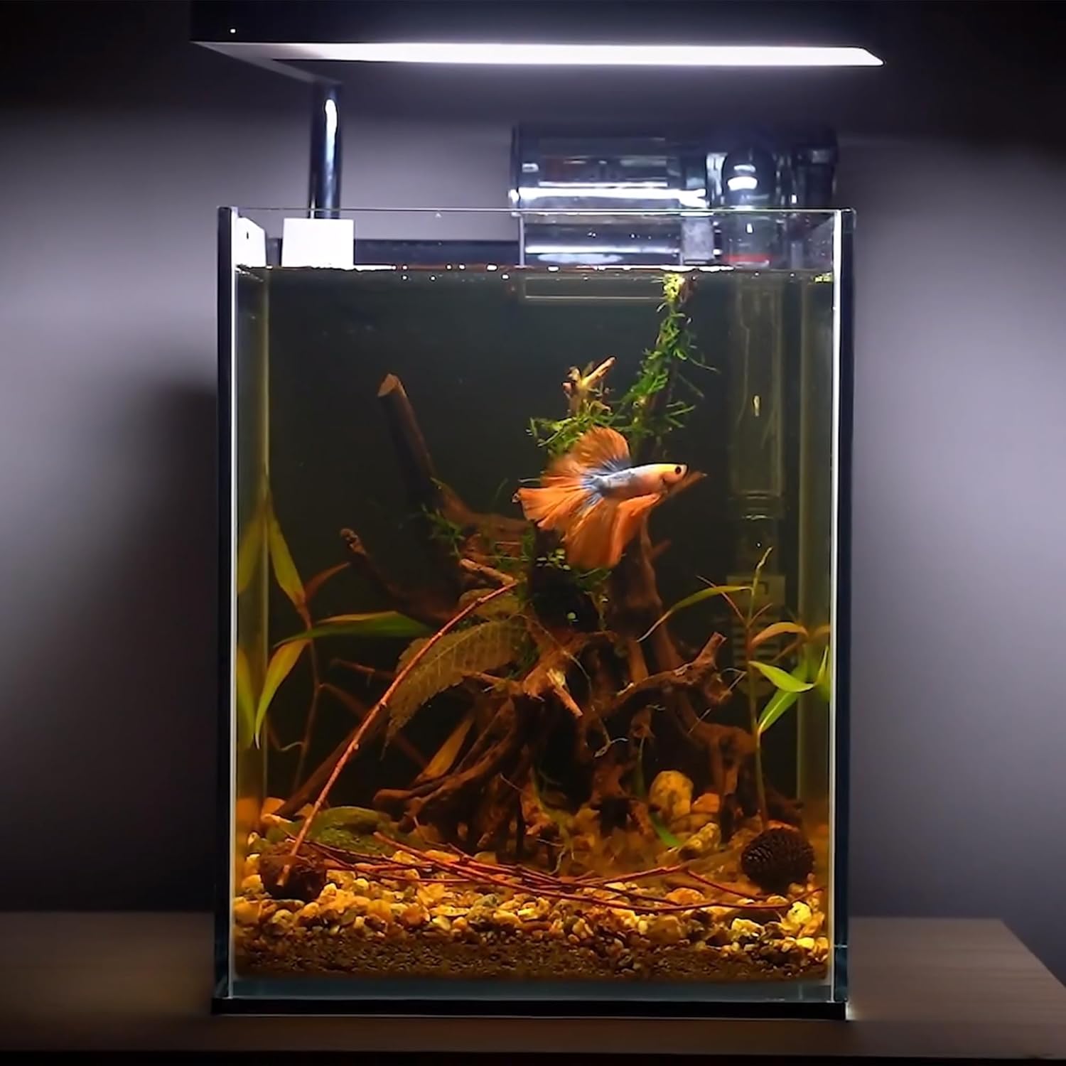 majoywoo Natural Small Driftwood for Aquarium Decor Fish Tank Decorations, Assorted Spider Wood Branch 2-4.5" 10 Pcs, Reptile Decor