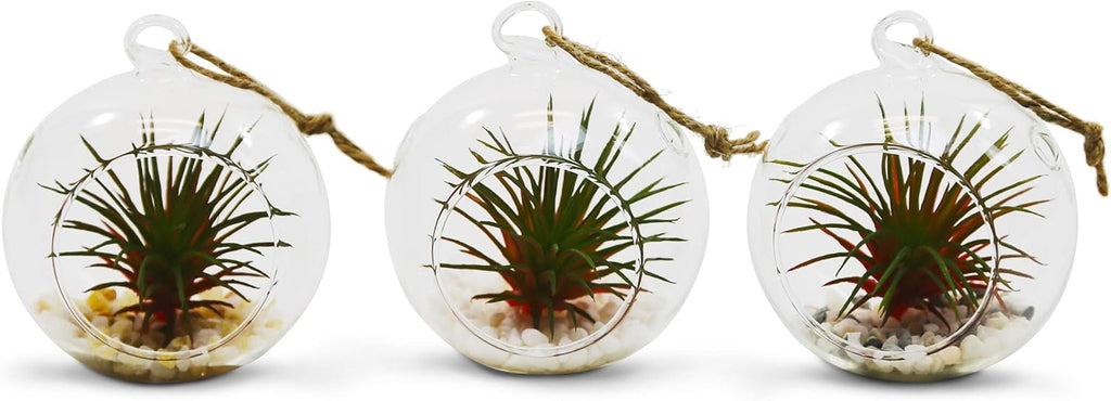 WGV Hanging Terrarium Globe, Width 2.5", Height 3", DIY Air Succulent Planter, Clear Glass Vase Orb with Flat Bottom, Candle Holder for Windowsill Outdoor Garden Decor, 6 Pieces Bulk