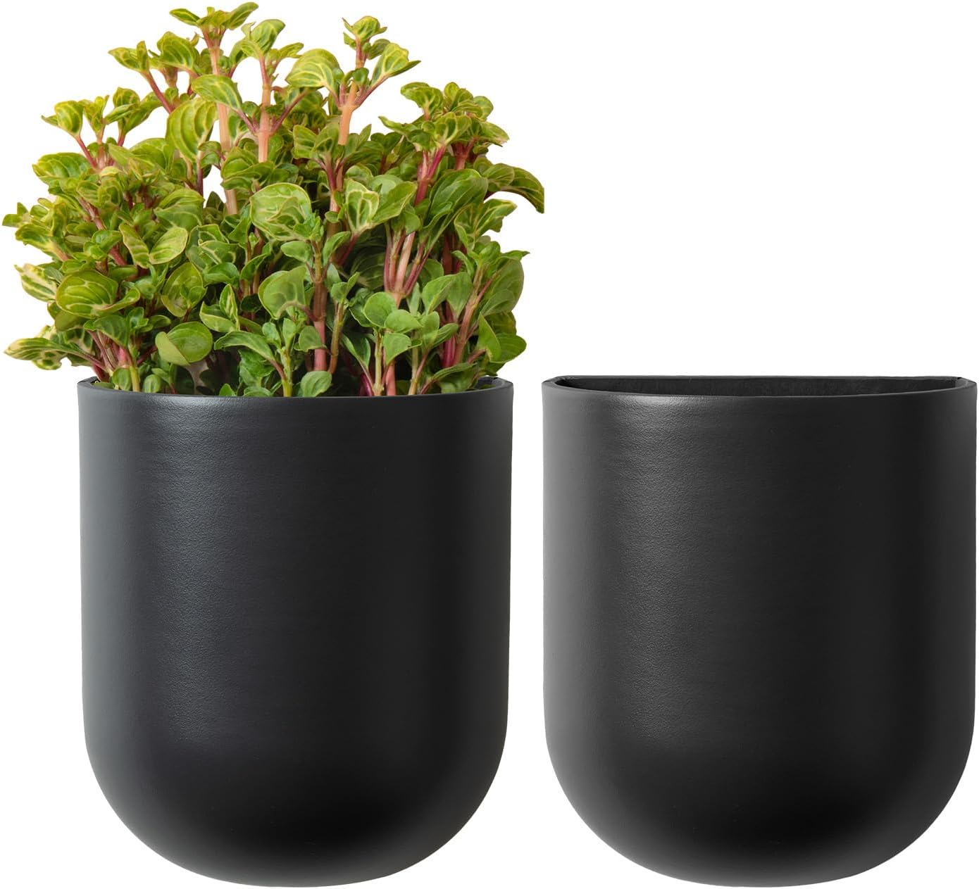 La Jolie Maison Wall Hanging Planters for Indoor Plants, Hanging Flower Pots for Air Plants Succulent, Set of 2, 6 Inch