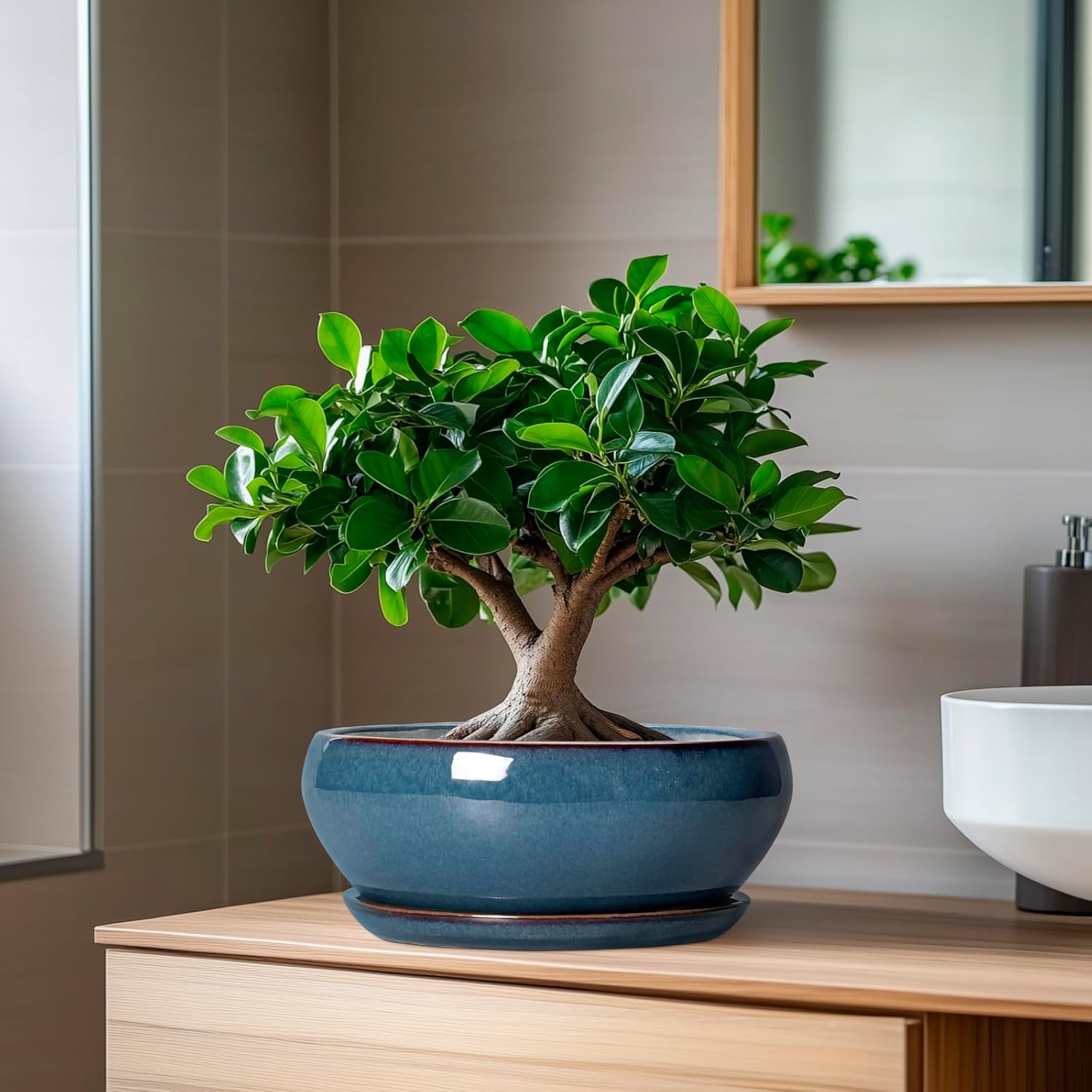 SQOWL Bonsai Pots - 8 Inch Ceramic Succulent Pots with Drainage Hole and Saucer, Round Shallow Planter for Indoor Outdoor Plants Flowers, Ceramic Planter Bowl, Room Decor, Gardening Gifts, Blue