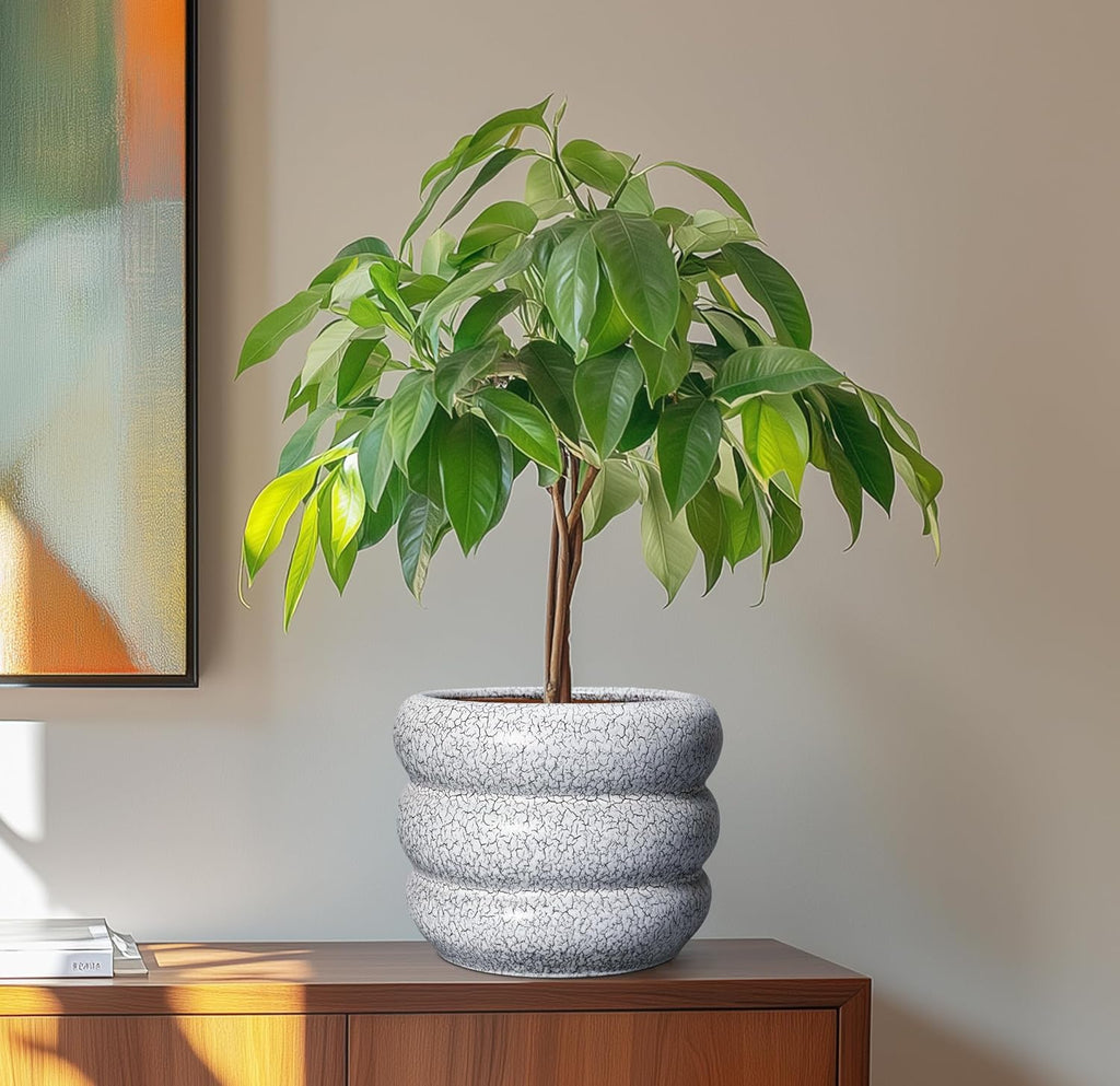 SQOWL Ceramic Pots for Plants - 8 Inch Plant Pot with Drainage Hole, Round Planter for Indoor Plants, Ceramic Flower Pots Outdoor, Modern Planter, Room Decor, Gifts for Plant Lover, Black and White