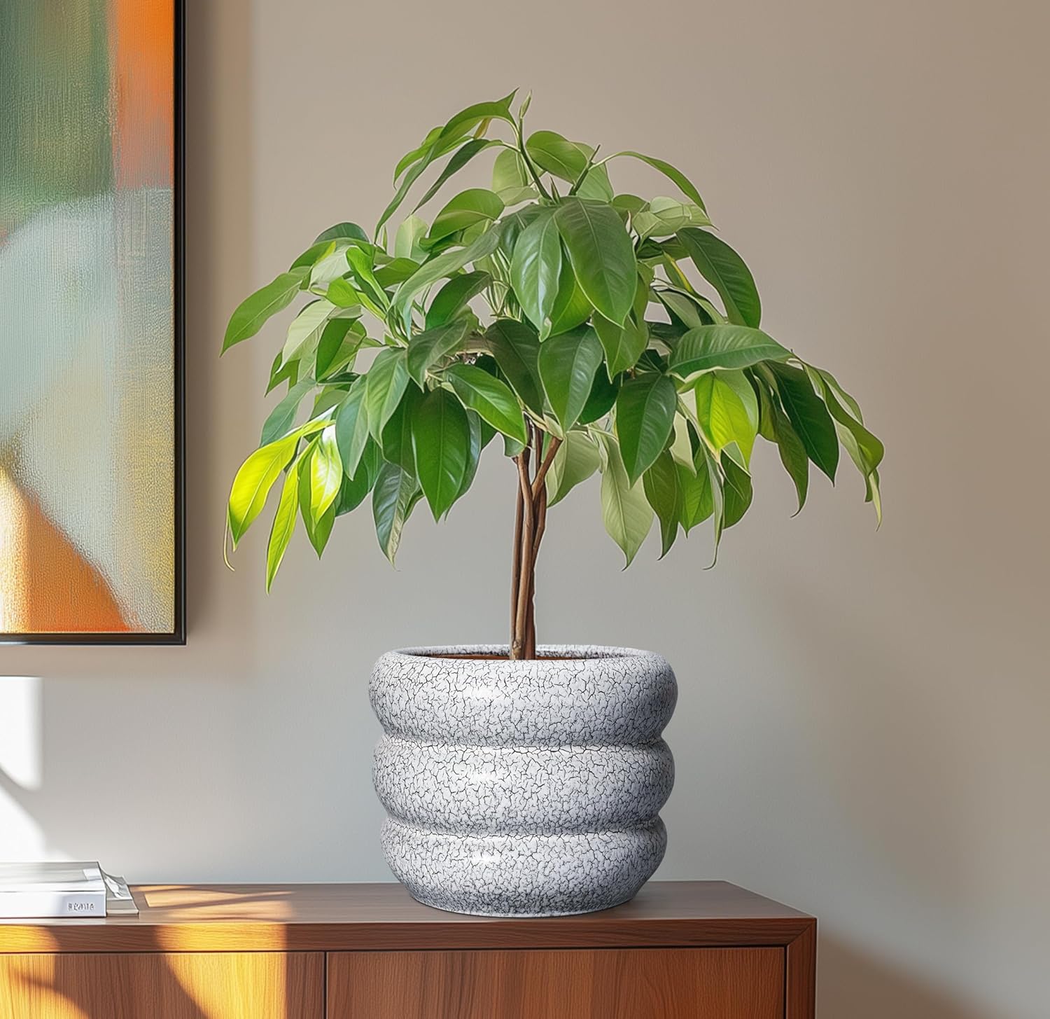 SQOWL Ceramic Pots for Plants - 8 Inch Plant Pot with Drainage Hole, Round Planter for Indoor Plants, Ceramic Flower Pots Outdoor, Modern Planter, Room Decor, Gifts for Plant Lover, Black and White