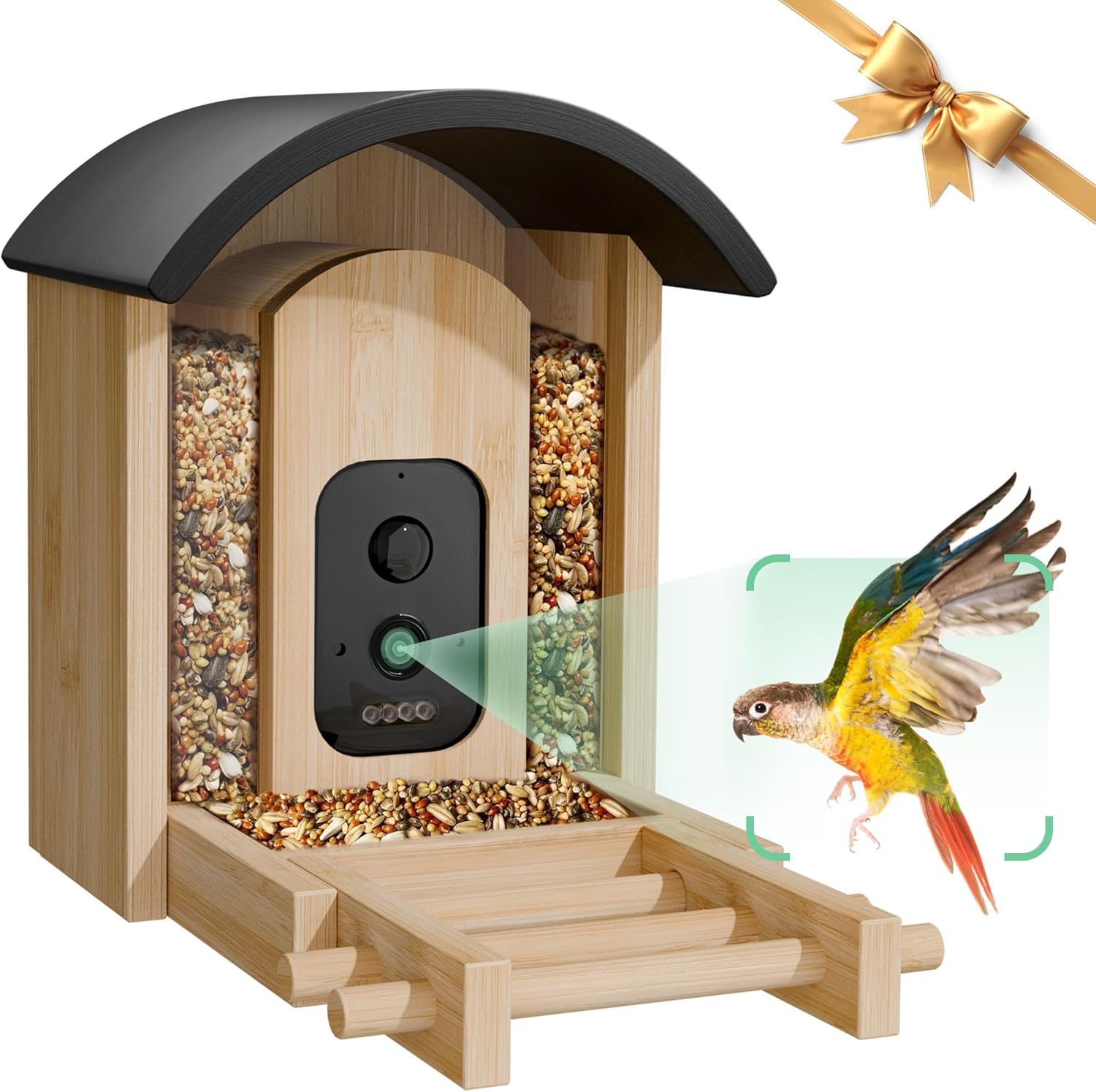 Bird Feeder with Camera, Smart Wild Bird Feeder for Outdoors with AI Identify, Solar Bird Feeder Watching Camera Auto Capture Birds & Real-time Notifications, Gifts for Birdlover (Arch)