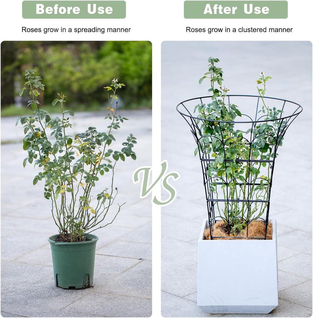 COOOXIM Peony Cages & Supports - Metal Plant Obelisk Trellis for Outdoor Use, 27.5 x 22 Inches, Perfect for Peonies, Roses, and Climbing Vines - Durable Garden Support Ring in M Shape