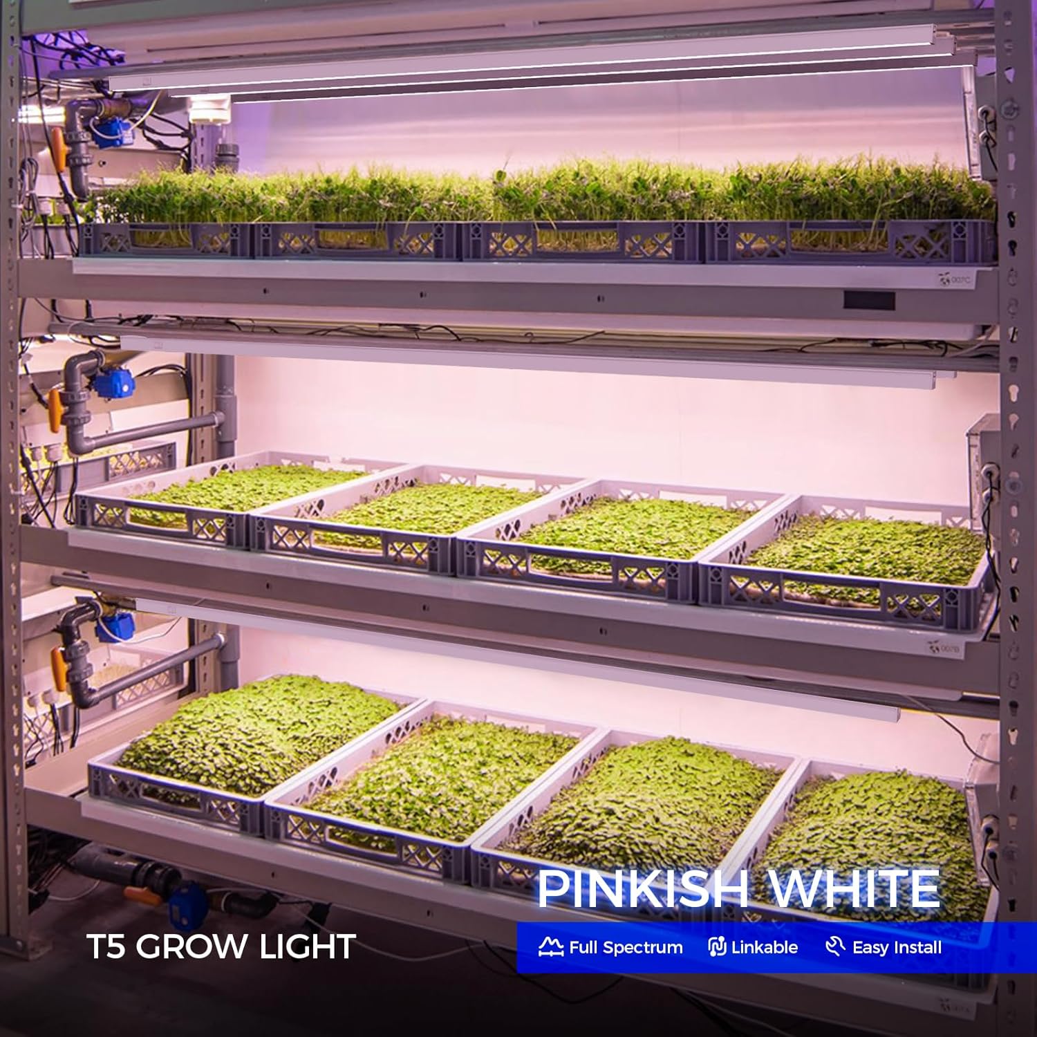 Barrina T5 Grow Lights, Full Spectrum, 4ft 160W (8 x 20W, 1000W Equivalent), LED Grow Light Bulbs, Plant Lights for Indoor Plants, Greenhouse, Plug and Play, Pinkish White, 8-Pack