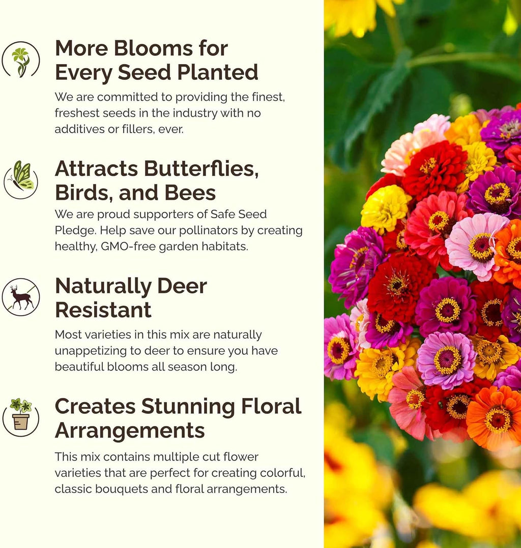 Eden Brothers Heirloom Flower Mixed Seeds for Planting, 1/4 lb, 120,000+ Seeds with Zinnia, Toadflax, Evening Primrose | Attracts Pollinators, Plant in Spring or Fall, Zones 3, 4, 5, 6, 7, 8, 9, 10