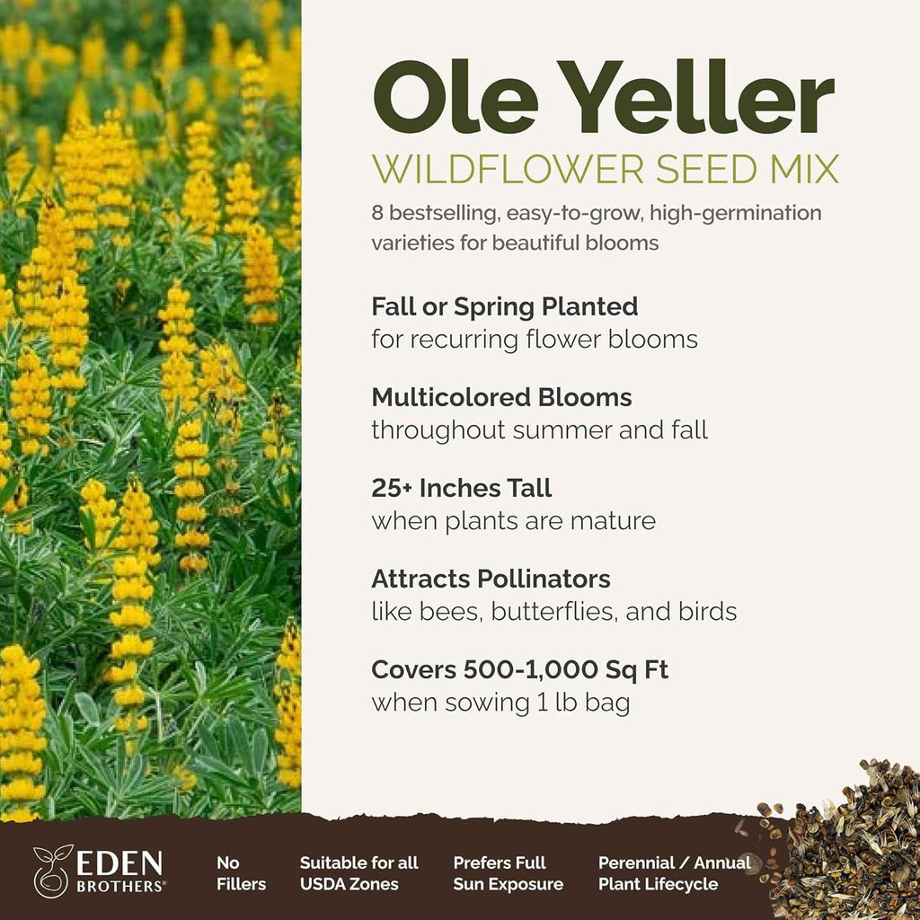 Eden Brothers Ole Yeller Wildflower Mixed Seeds for Planting, 1 lb, 480,000+ Seeds with African Marigold, Sunflower | Attracts Pollinators, Plant in Spring or Fall, Zones 3, 4, 5, 6, 7, 8, 9, 10
