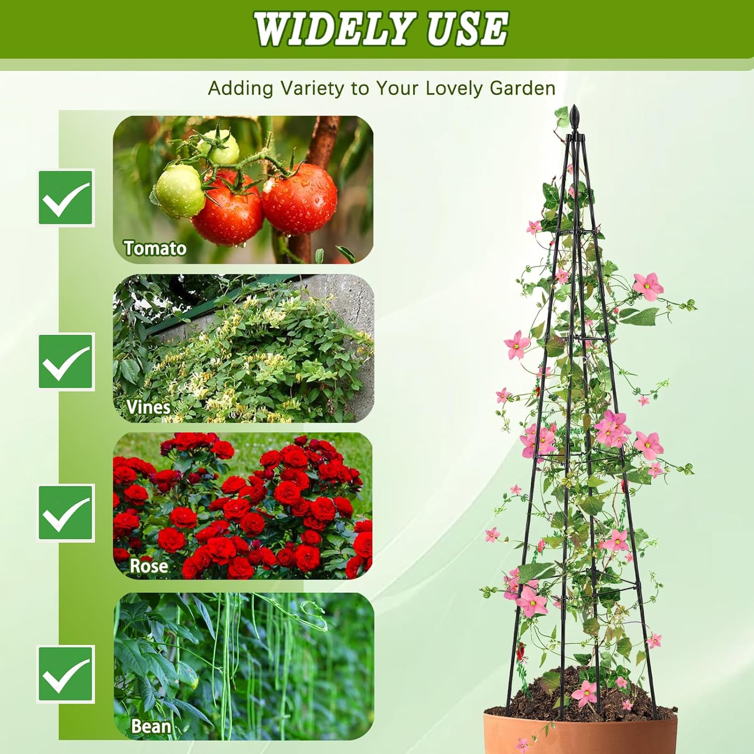 2 Pack Garden Trellis for Climbing Plants Outdoor,63inch Tall Rustproof Metal Obelisk Trellis Support for Potted Vines Vegetable Plants Indoor Outdoor, Lightweight