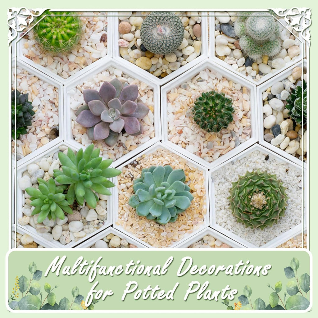 20lbs White Natural River Rocks, Polished Pebbles for Plants Garden, 1-2 inch Decorative White Stones, Ideal for Fish Tank, Vases, Crafting, Home Decor and Garden Landscaping Rocks,White