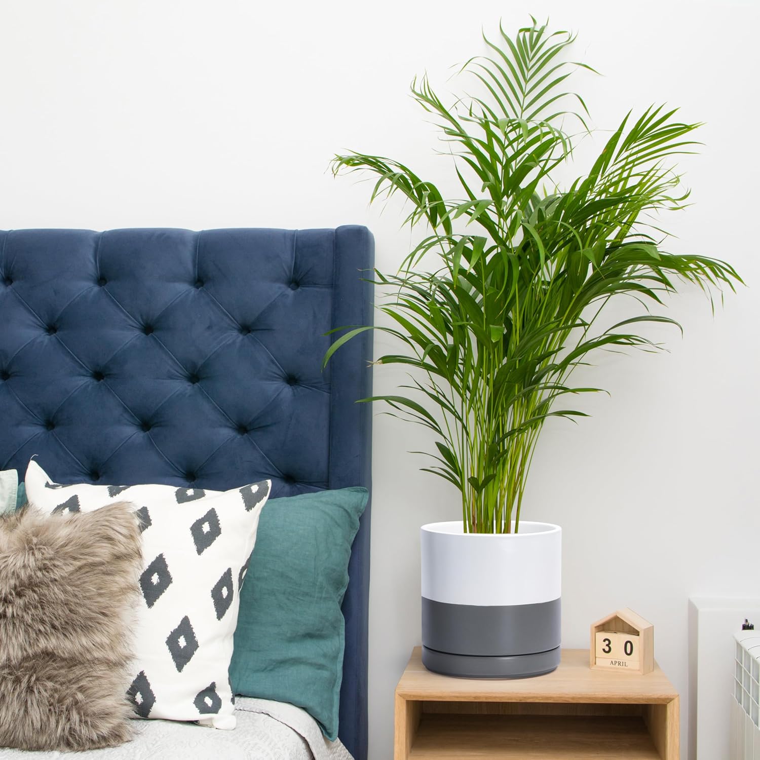 D'vine Dev 6 Inch & 8 Inch & 10 Inch, Set of 3 Round Ceramic Planter Pot with Drainage Hole and Saucer, White/Speckled Grey, 94-T-L-6