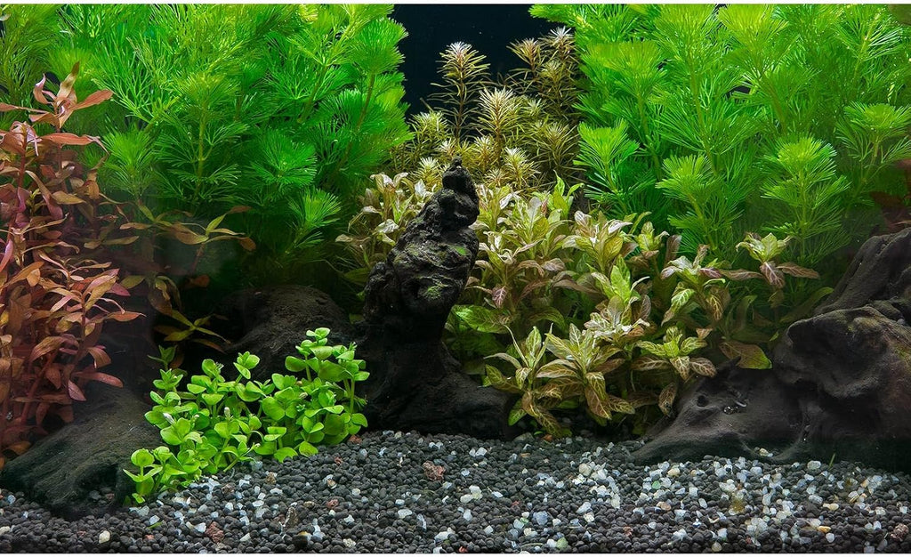Aquarium Background Exquisite Underwater Grass Leaves with Pebbles Aquarium Backdrop Vivid Green Aquatic Plant Stone with Dead Woods and Fresh Leaves Fish Tank Wallpaper 30x18in
