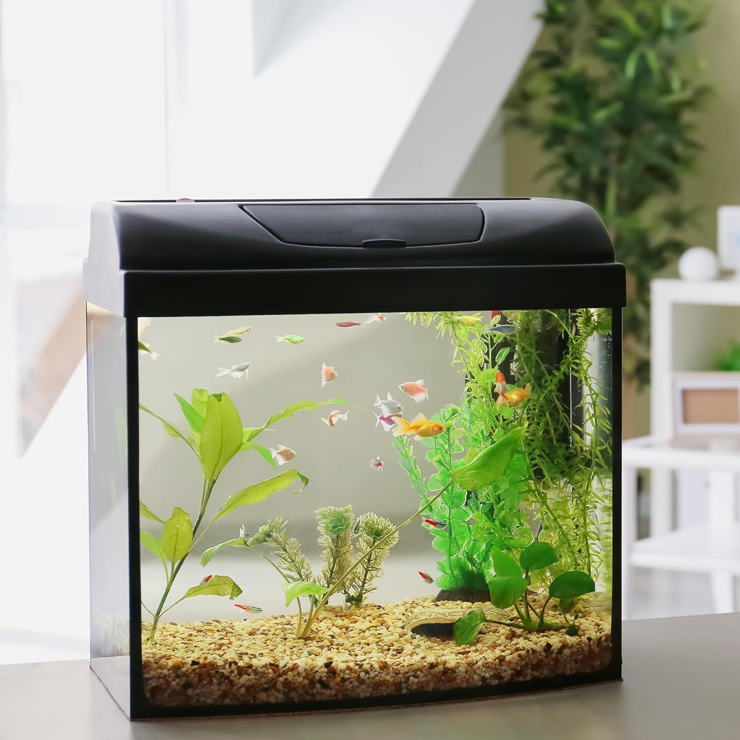 10 lbs Aquarium Gravel, 1-2mm Fish Tank Gravel, Premium Gravel and Substrate for Aquariums, Fish Tanks and Terrariums, XiL-1-2-10