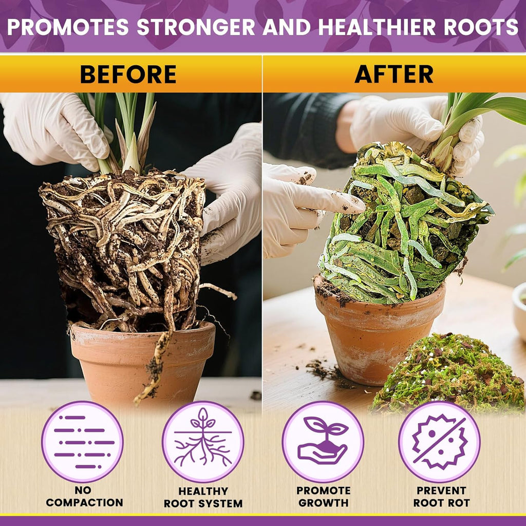 Legigo 6 QT Orchid Potting Mix- Natural Orchid Soil Mix for Repotting with Moss, Pine Bark, Coco Peat and Perlite, Enhanced Drainage Orchid Bark Potting Mix Repotting Kit for Indoor Plant Growth