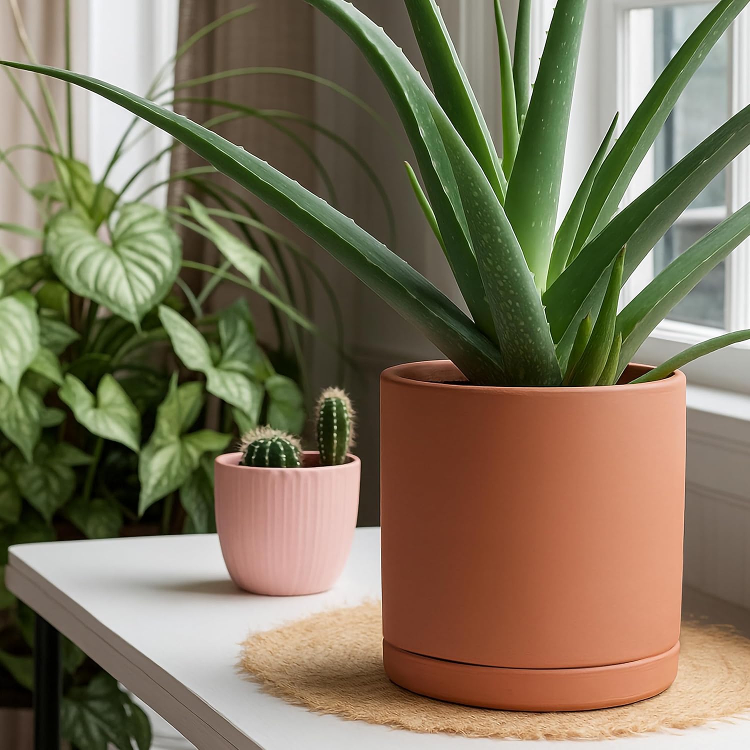 D'vine Dev Medium 8 Inch Terracotta Plant Pot with Drainage Hole and Saucer, Round Cylinder Planter Pot for Indoor Plants, Set of 2, 40-X-B-4