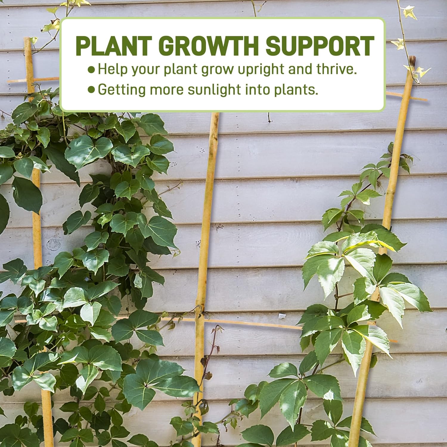 Avalution 10 Pack Bamboo Trellis for Climbing Plants, 3 FT Garden Ladder Trellis for Potted Plants Indoor, Fan-Shaped Small Plant Support Trellis for Houseplants Ivy Hoya Vine Monstera