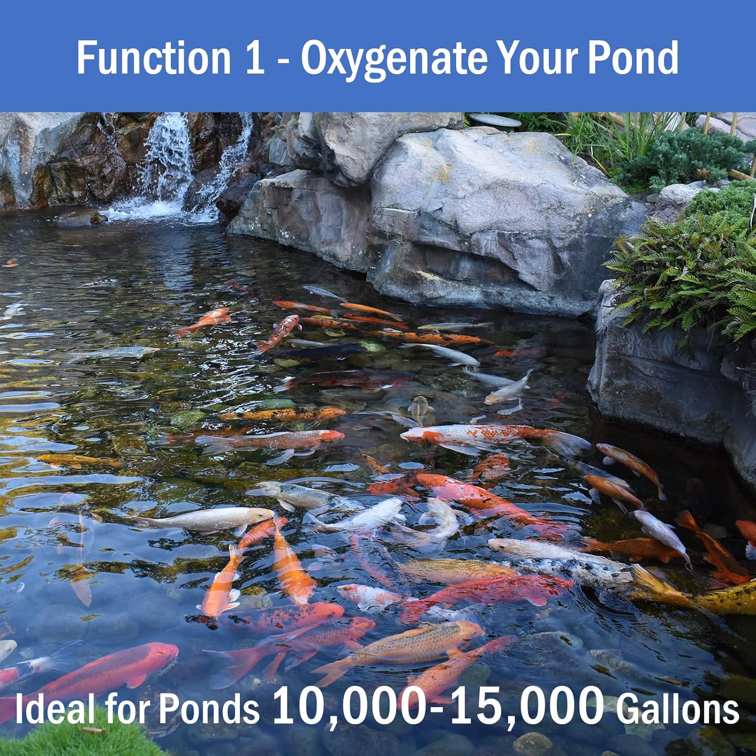 AquaMiracle All-in-One Koi Pond Aerator for Outdoor Ponds, Pond Air Pump Pond Aeration System with Self-Sinking Airline Flow Control Rubber Air Diffuser