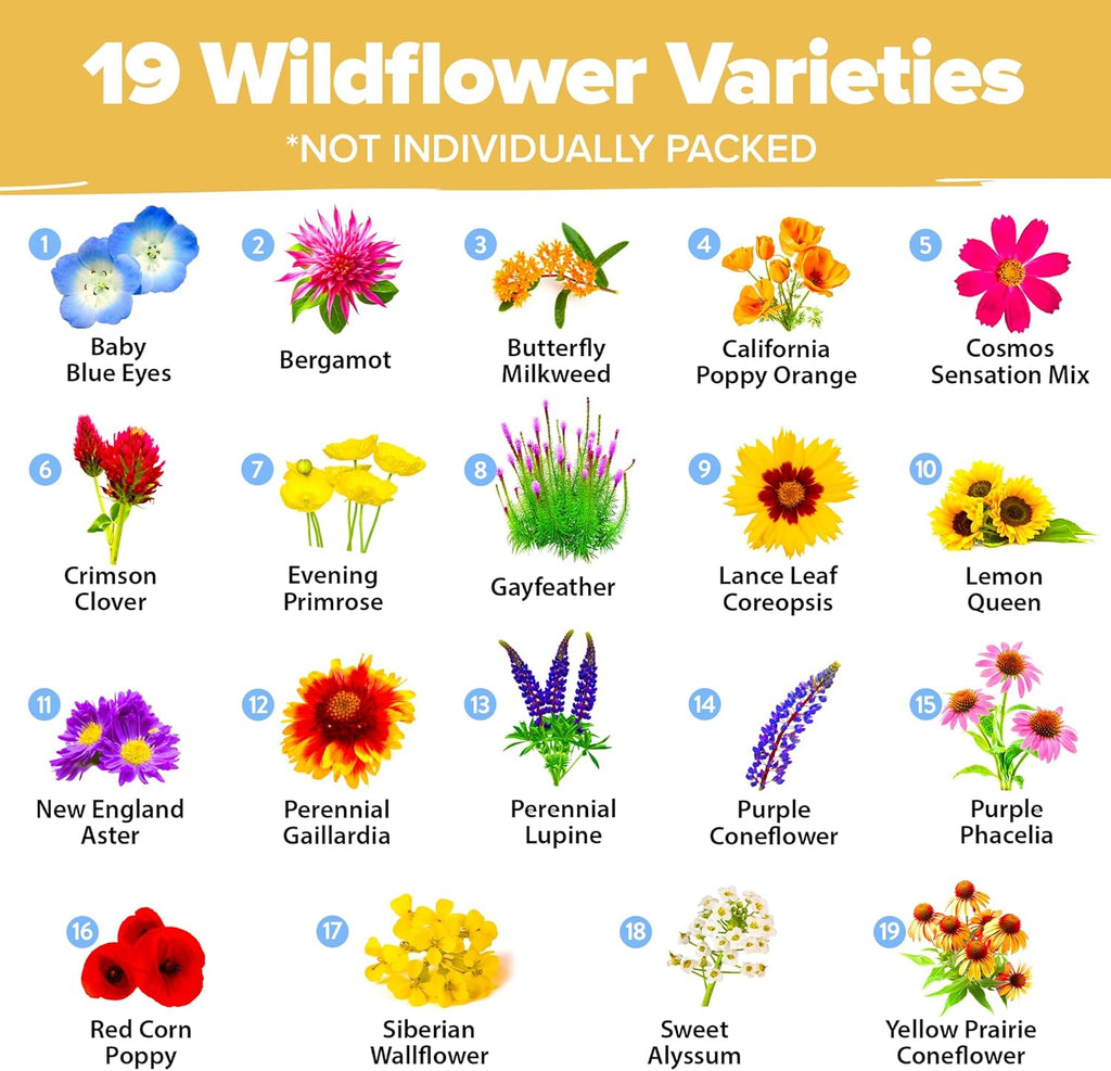 HOME GROWN Wildflower Seeds (3oz) 89,000+ Flower Seed Mix | No Filler | 19 Varieties, USA-Sourced Bulk Wild Flowers Seeds for Planting, Butterfly & Pollinator Perennial and Annual Wild Flower Mix