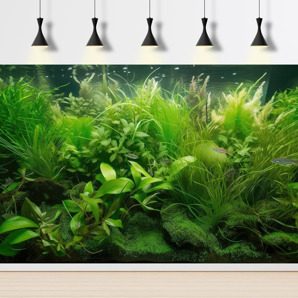 Aquarium Background Diverse Collection of Aquatic Plants Seagrasses Terrarium Background Redwood Root Moss Tropical Style Underwater Lush Green Plants Fish Tank Background Wallpaper Poster 48x18in