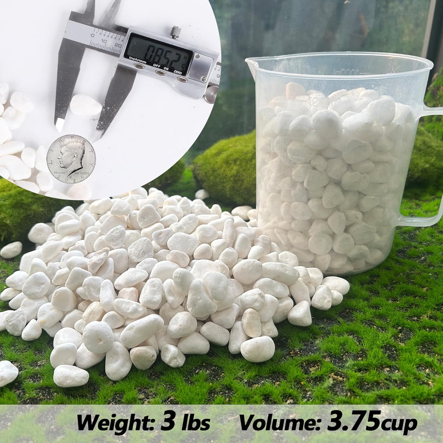 CJGQ White Pebbles for Plants Garden Vases 3 lb White Rocks Gravel Decorative Stone 1/2"