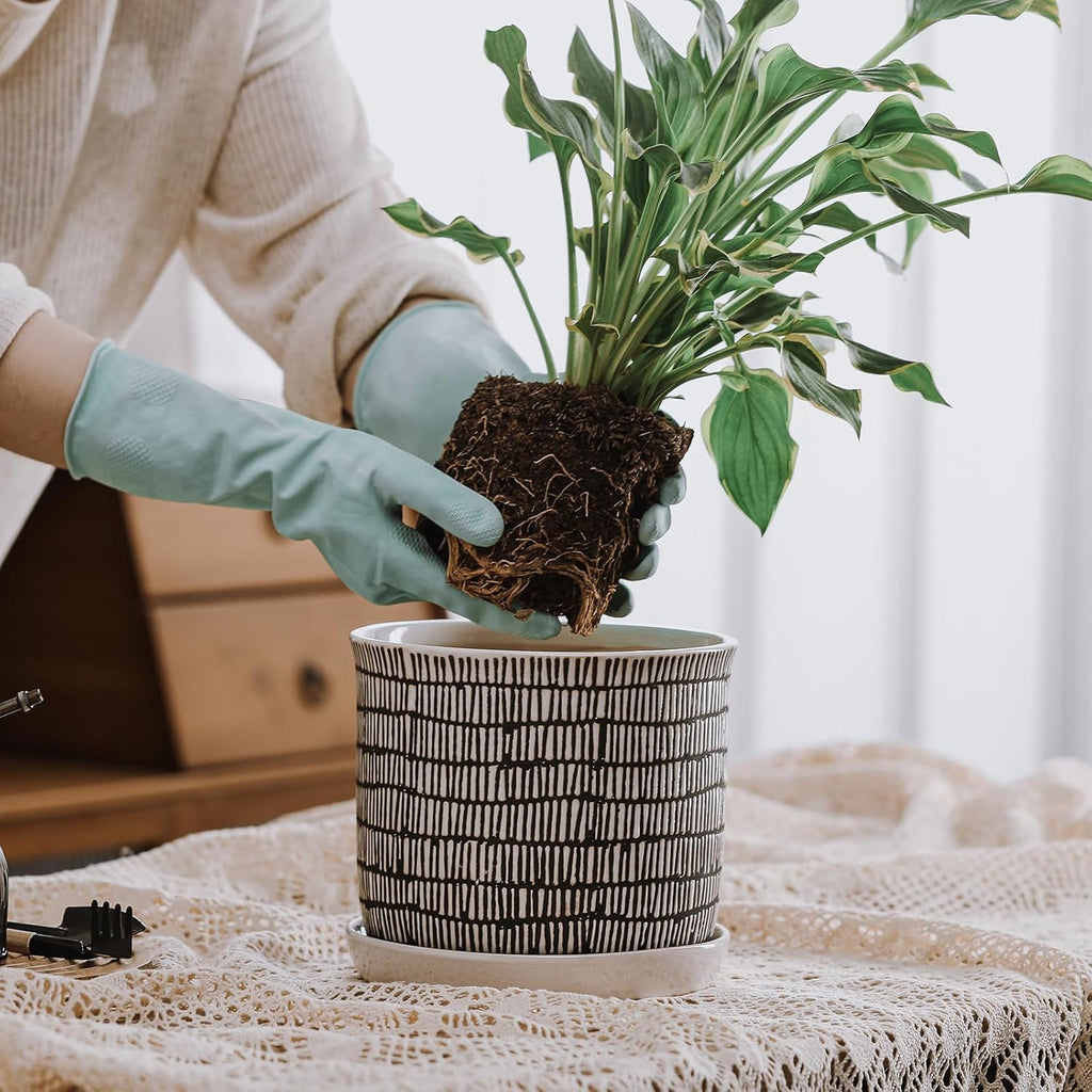 8 Inch Plant Pot: Ceramic Planter with Drainage Hole & Saucer for Indoor Outdoor Plants - Flowerpot with Bonded Tray for Home Office - Mixed Stripe Debossed