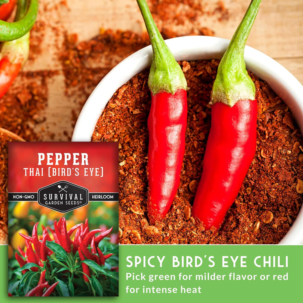 Thai Chili Pepper Seeds for Planting | Heirloom Bird’s Eye Hot Variety – Non-GMO Seeds for Spicy Cooking & Containers – Survival Garden Seeds (2 Packs)
