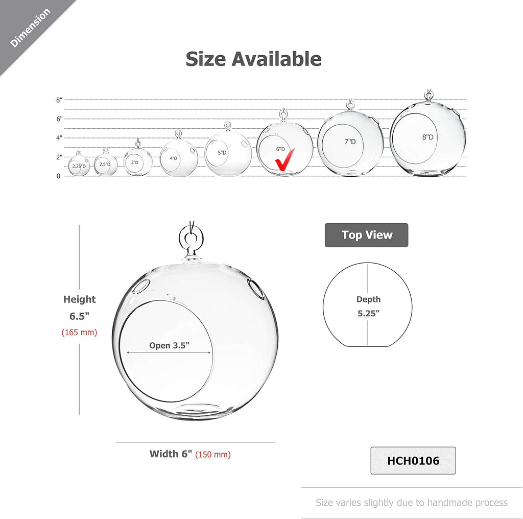 WGV Hanging Terrarium Globe, Width 6", Height 6.5", DIY Air Succulent Planter, Clear Glass Vase Orb with Flat Bottom, Candle Holder for Windowsill Outdoor Garden Decor, 6 Pieces Bulk