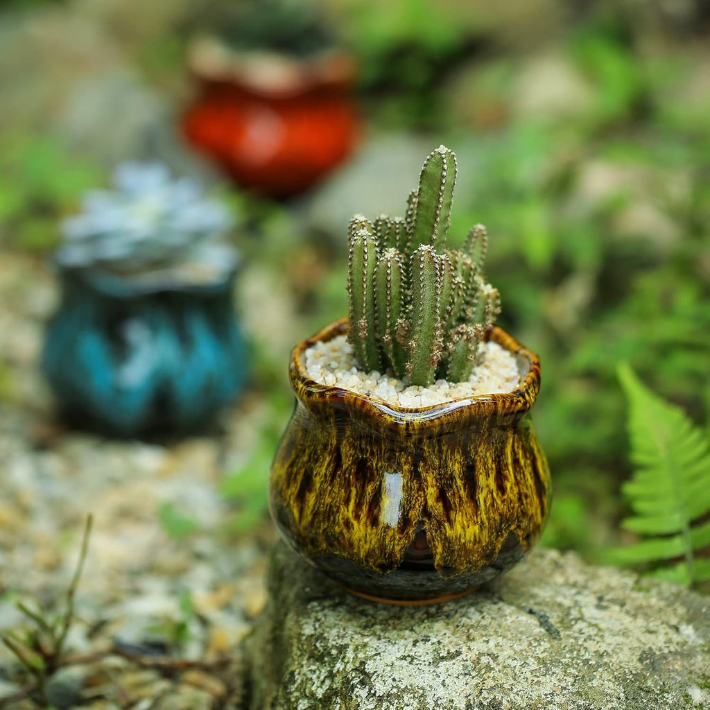 Cute Ceramic Succulent Planters, Garden Pots with Drainage and Attached Saucer, Set of 6 - Plants Not Included