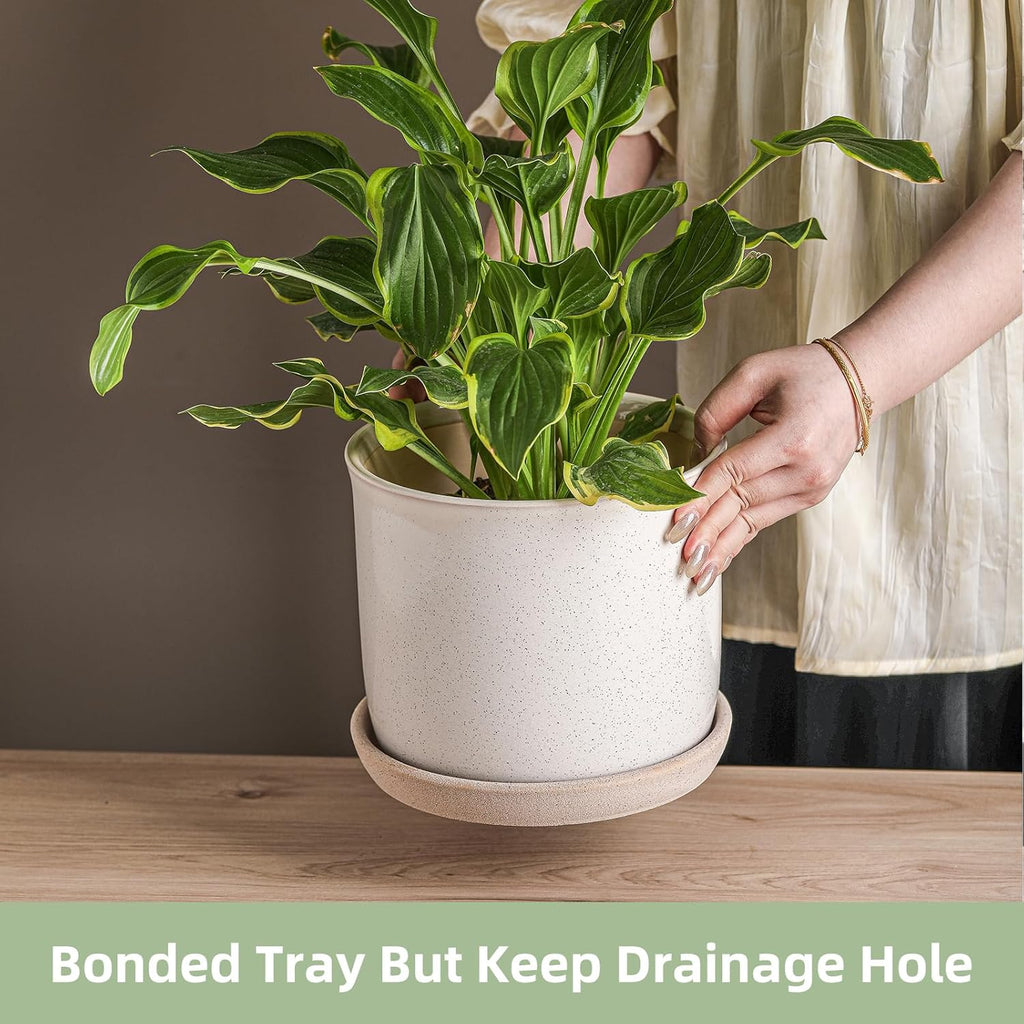 8 Inch Plant Pot: Ceramic Planter with Drainage Hole & Saucer for Indoor Outdoor Plants - Flowerpot with Bonded Tray for Home Office - Retro Style, Grey
