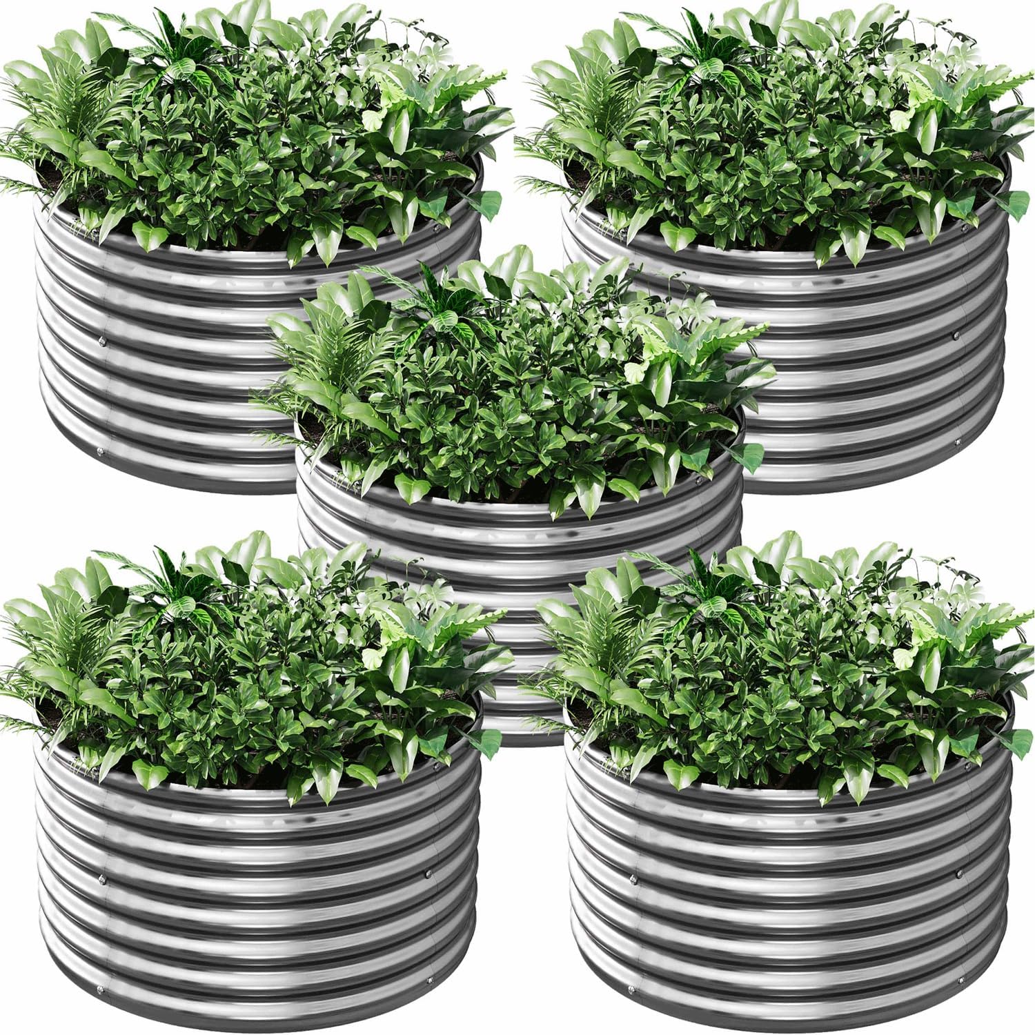 5 Pack 3x3FT Round Galvanized Raised Garden Bed Outdoor,Metal Garden Bed for Vegetables,Steel Raised Beds for Gardening,Above Ground Garden Box for Flower