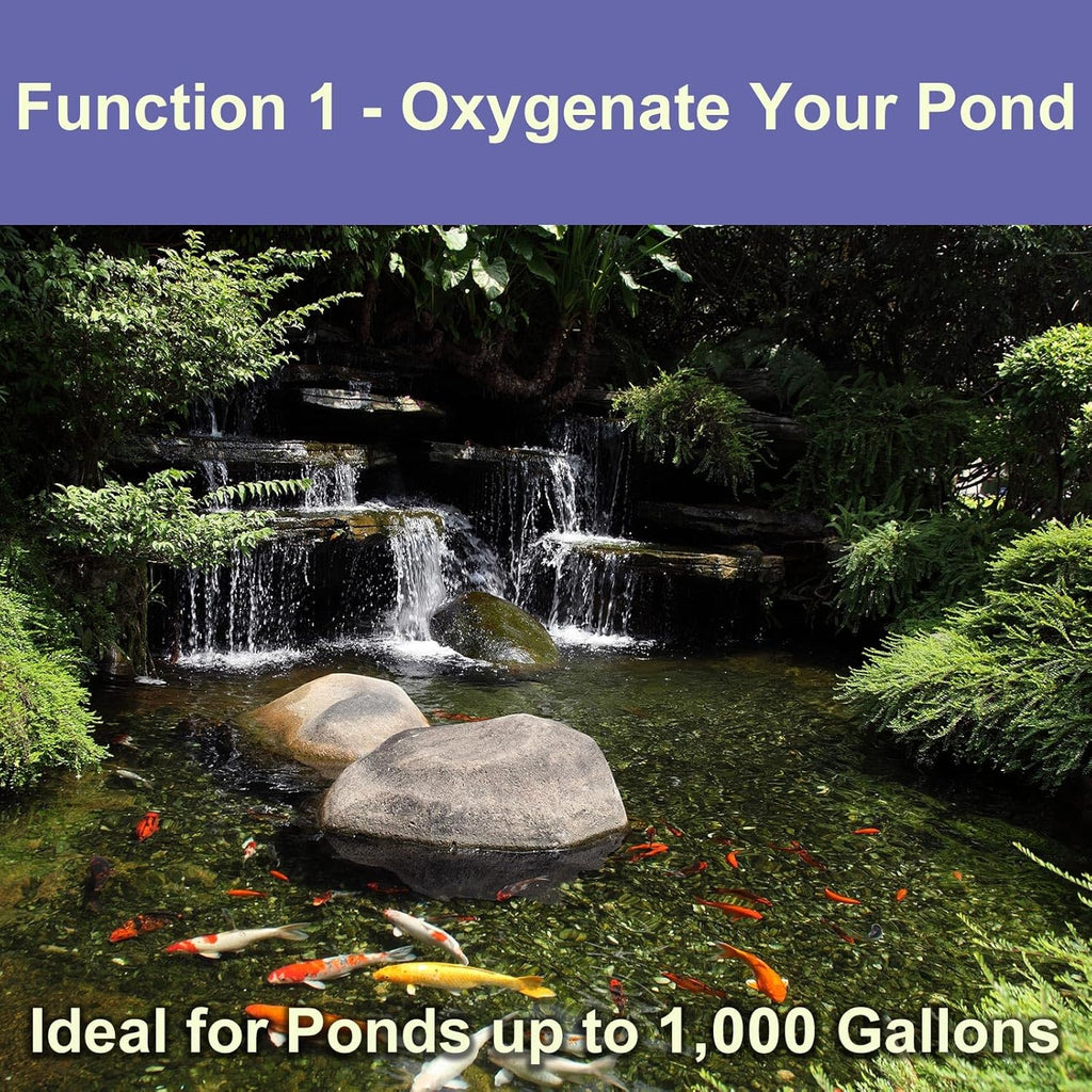 AquaMiracle Koi Pond Aerator for Pond up to 1000 & 2000 Gallons, All-in-One Pond Air Pump Aeration Kit with Air Stones Airline Tubing Check Valves