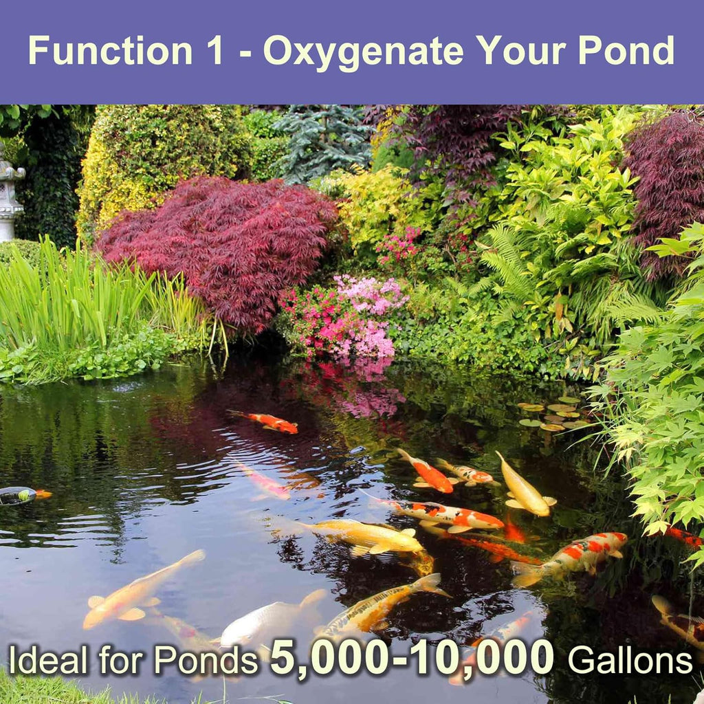 AquaMiracle Koi Pond Aerator Pond Air Pump with Self-Sinking Airline Rubber Air Diffuser, Air Flow Control Pond Deicer All-in-One Pond Aeration Kit for Outdoor Pond 5,000-10,000 Gallons
