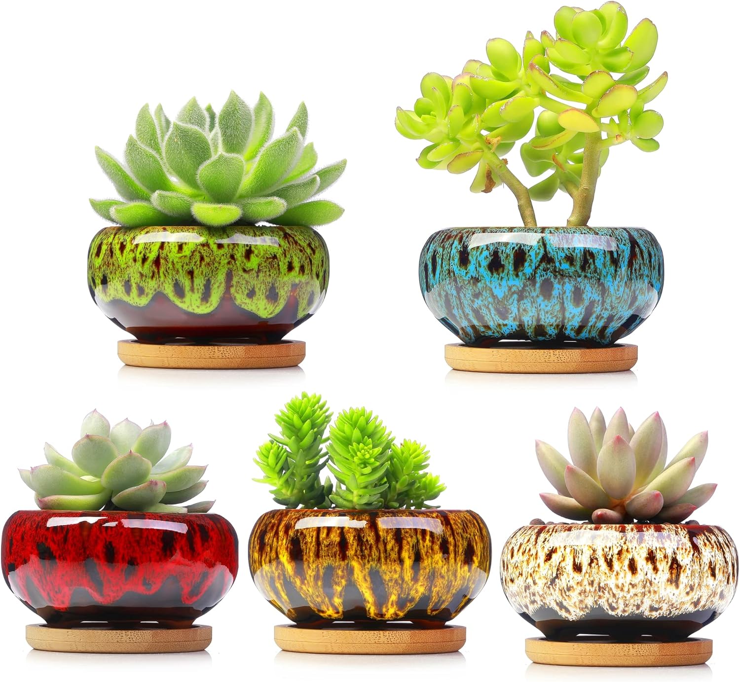 Cute Ceramic Succulent Garden Pots, Planter with Drainage and Attached Saucer, Set of 5 -Plants Not Included (Vivid Colors)