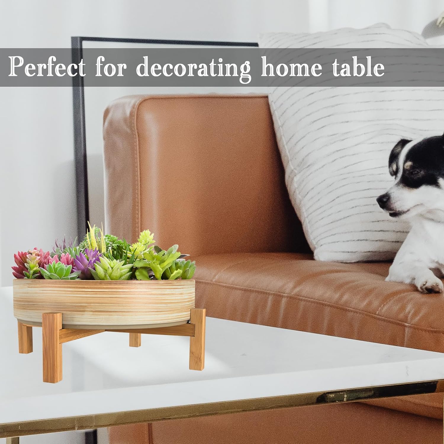 ARTKETTY Succulent Pots - 11 Inch Large Plant Pots Ceramic Bonsai Pots with Drainage Stand, Shallow Succulent Planters for Indoor Plants Decorative Flower Cactus Planter Bowl