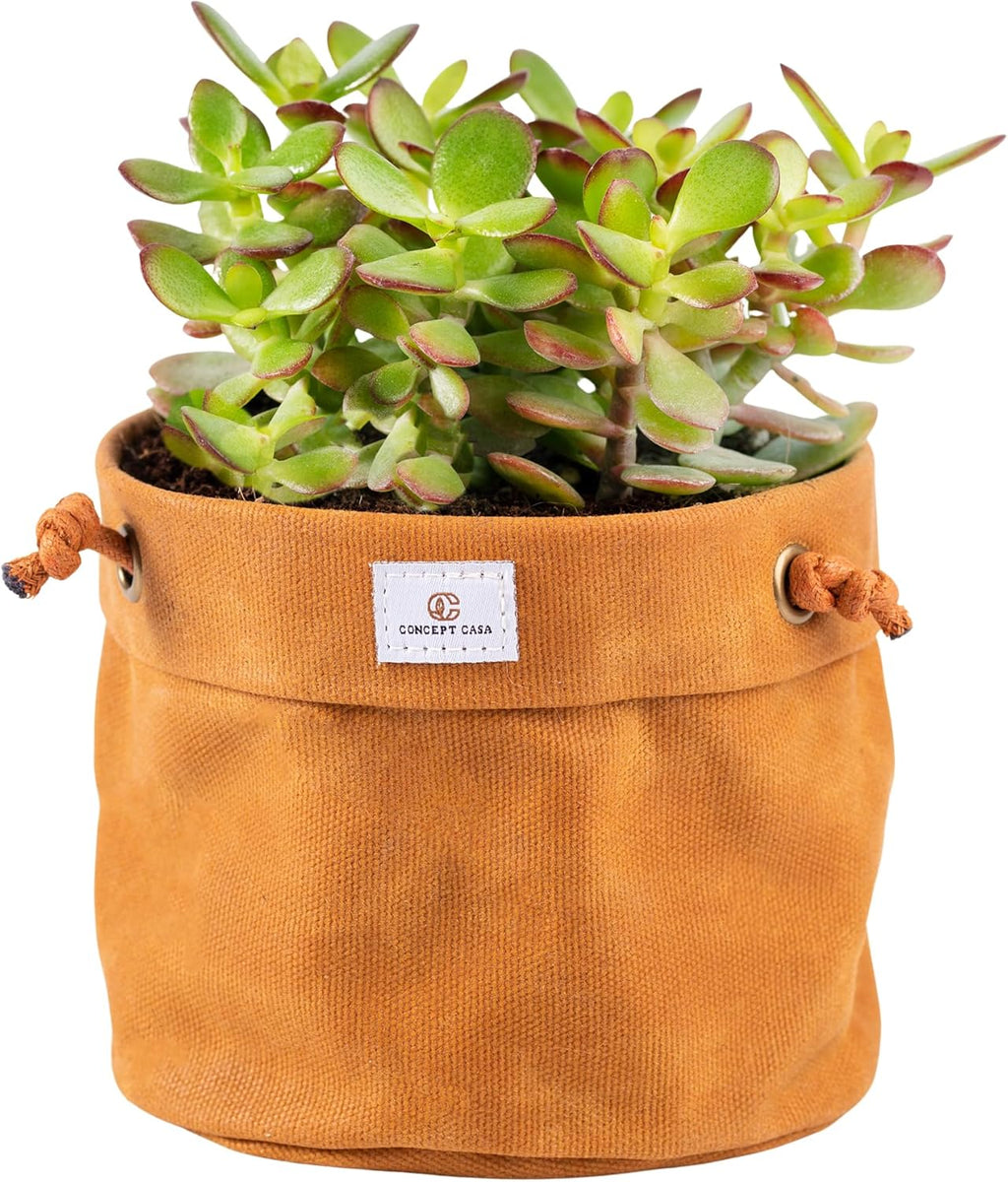 Waxed Canvas Handmade Hanging Planter for Indoor/Outdoor Plants, Hanging Basket Plant Holder Dijon Yellow with Hook