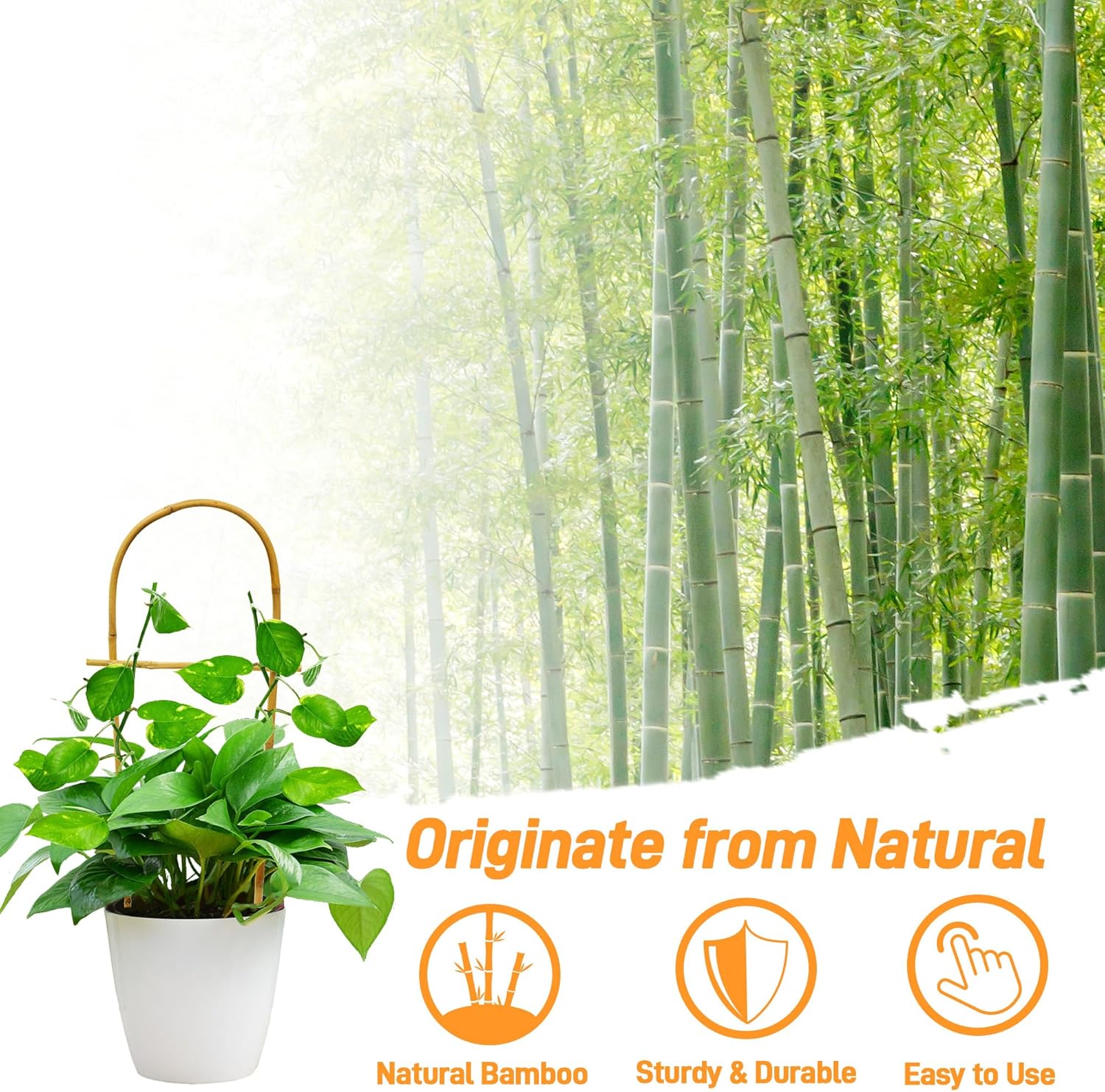 Avalution 10 Pack Bamboo U Trellis for Climbing Plants, 16 Inch Garden Ladder Trellis for Potted Plants Indoor, Ladder Small Plant Support Trellis for Houseplants Ivy Hoya Vine Monstera