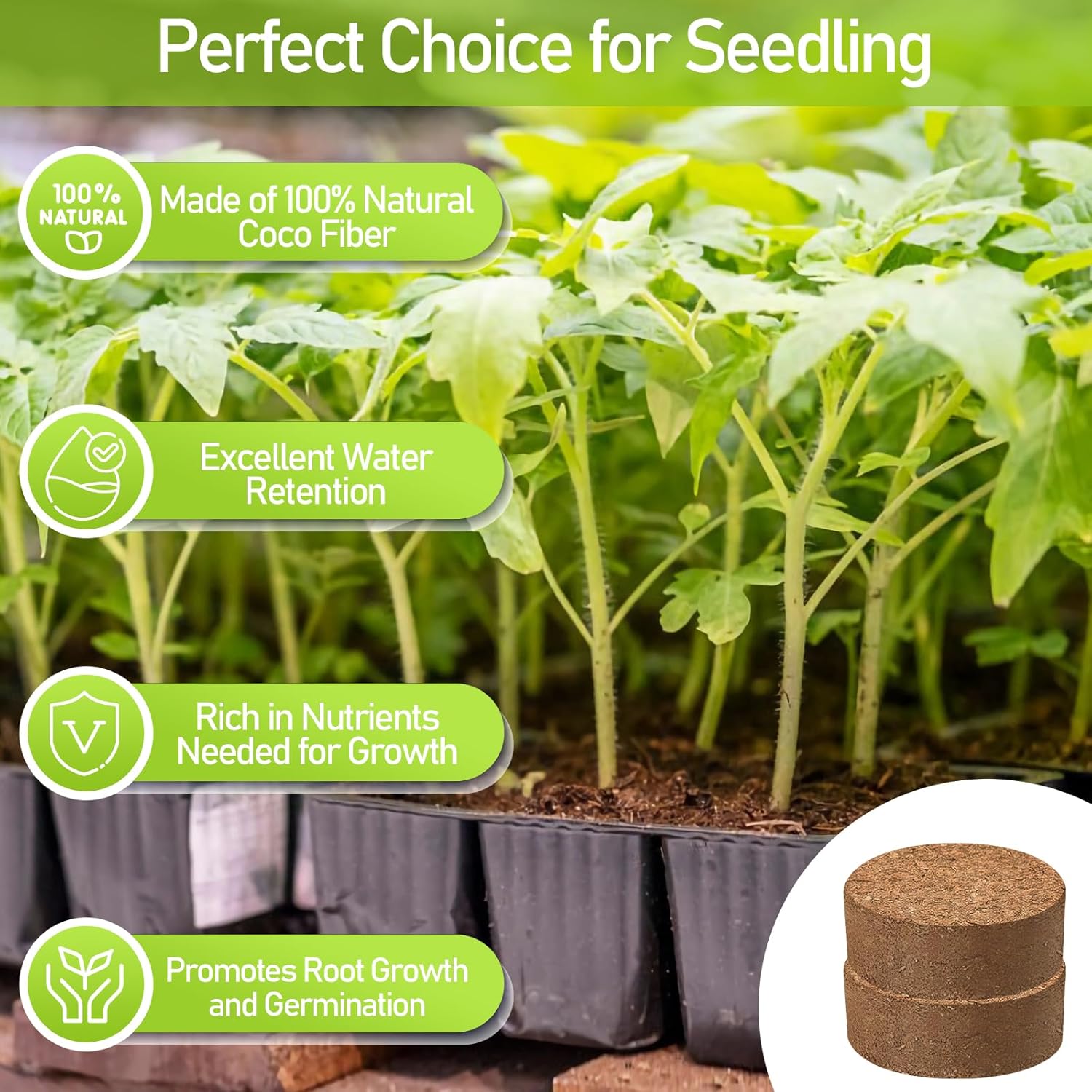 Legigo 100 Pcs 50mm Organic Coco Coir Pellets for Plants - Compressed Coconut Coir Potting Soil, Coco Fiber Pellets for Planting, Garden, Bonsai, Herbs, Flower & Vegetables