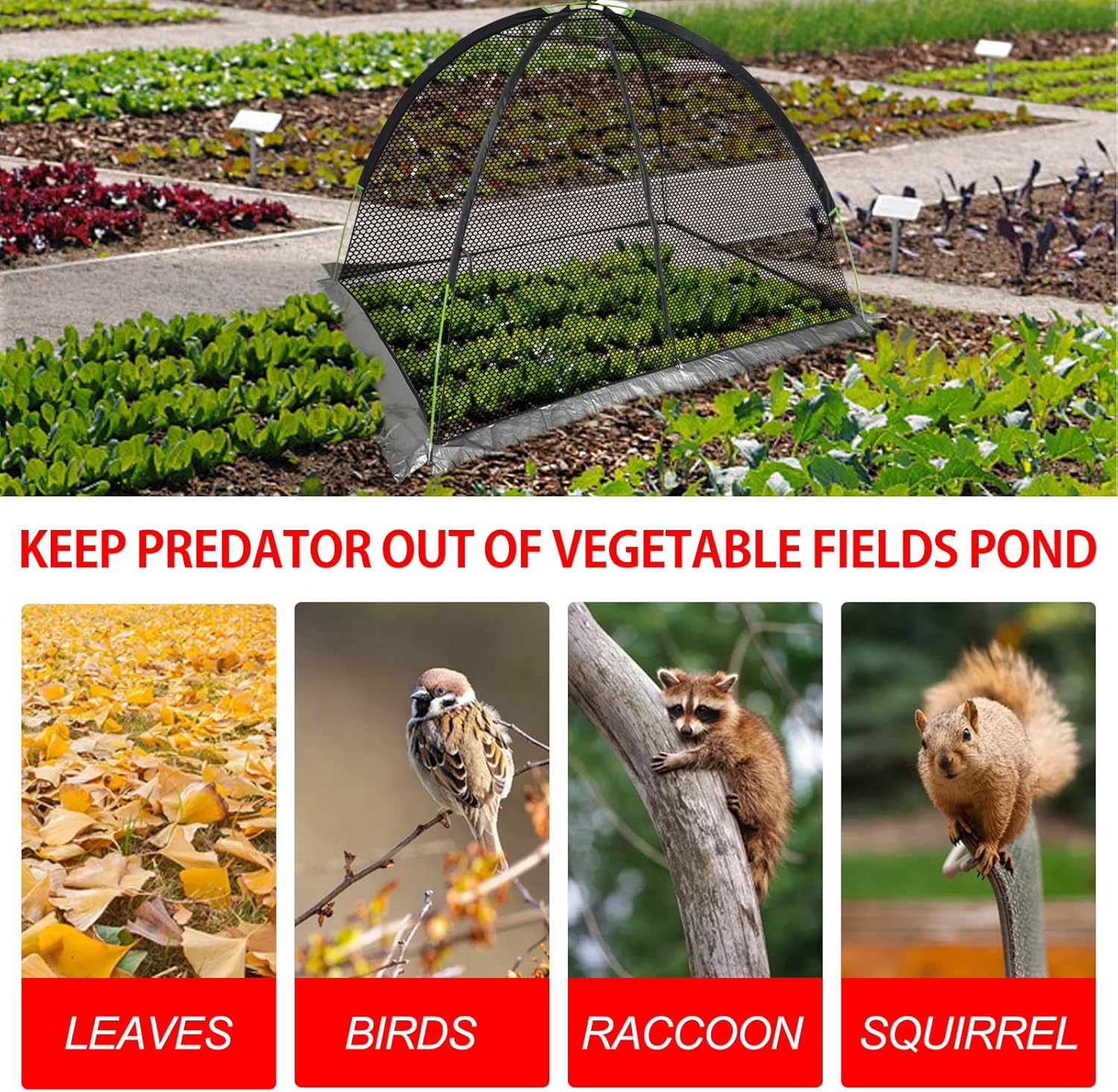 Pond Cover Dome: Protective Netting Tent for Outdoor Fish Koi Ponds Garden Leaves Vegetable Plant Care Use 8X10FT