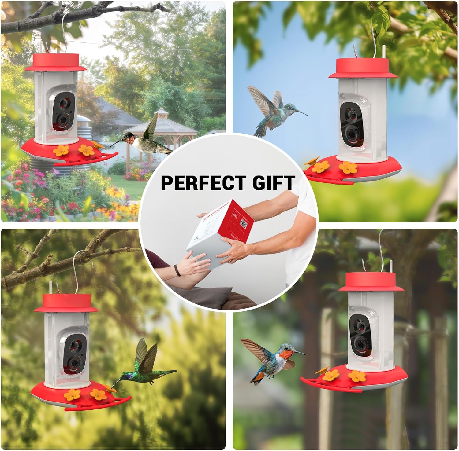 Hummingbird Feeder with Camera, AI Smart Identification Cloud Storage Function, Featuring Ant Moat Protection, Solar Power, Instant Notification, Automatic Bird Video Capture, and Motion Detection