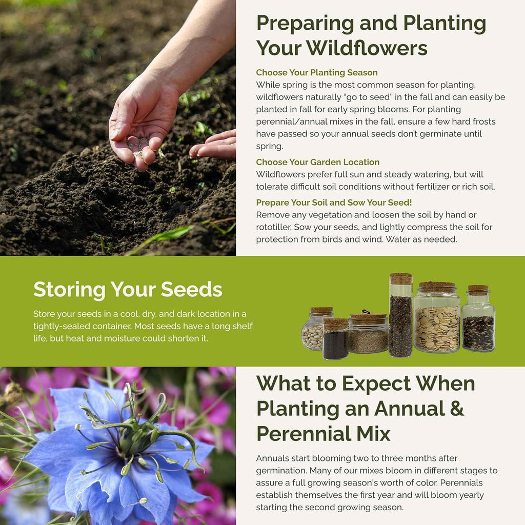 Eden Brothers Blue Ribbon Flower Mixed Seeds for Planting, 5 lb, 2,400,000+ Seeds with Blue Bell, Cornflower Blue, Chicory, Attracts Pollinators, Plant in Spring or Fall, Zones 3, 4, 5, 6, 7, 8, 9, 10