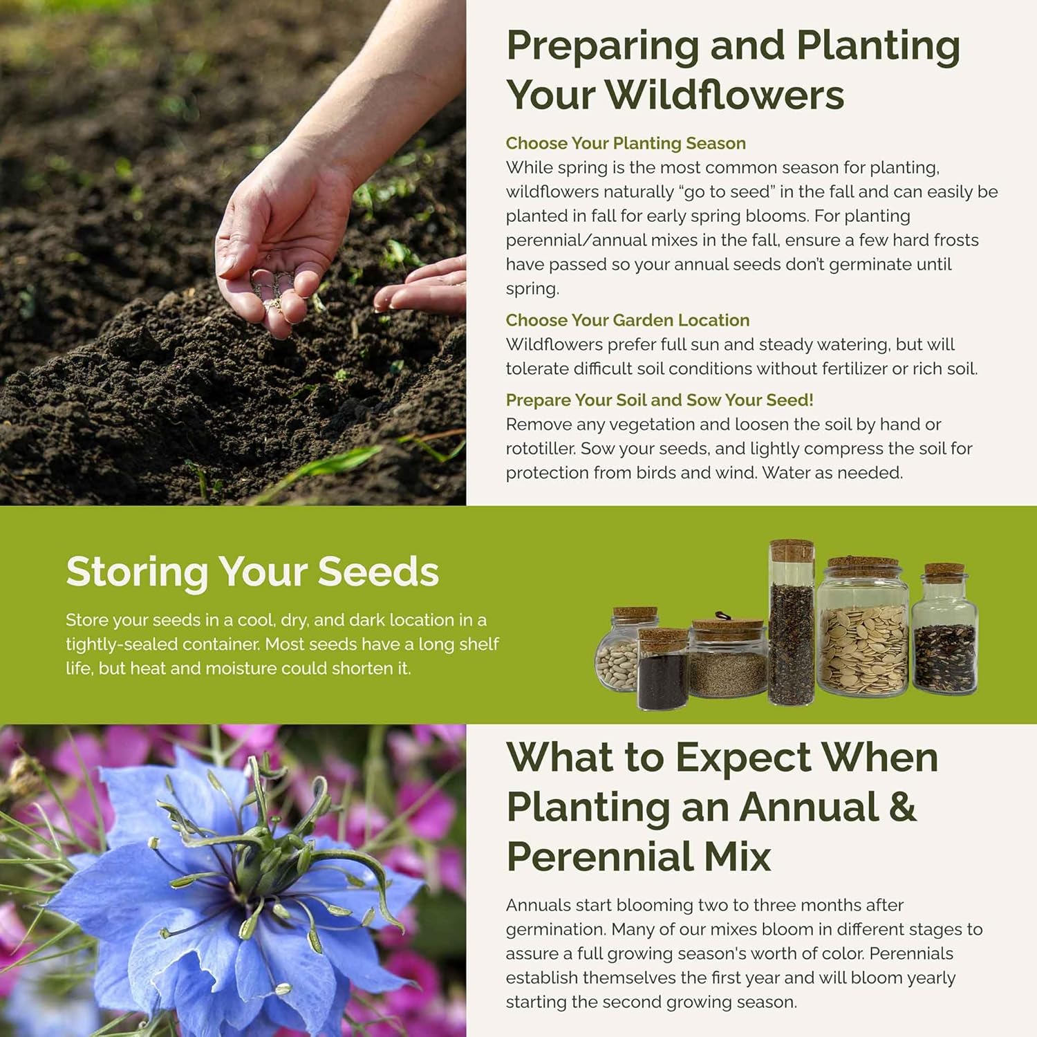 Eden Brothers Blue Ribbon Flower Mixed Seeds for Planting, 1/4 lb, 120,000+ Seeds with Blue Bell, Cornflower Blue, Chicory, Attracts Pollinators, Plant in Spring or Fall, Zones 3, 4, 5, 6, 7, 8, 9, 10