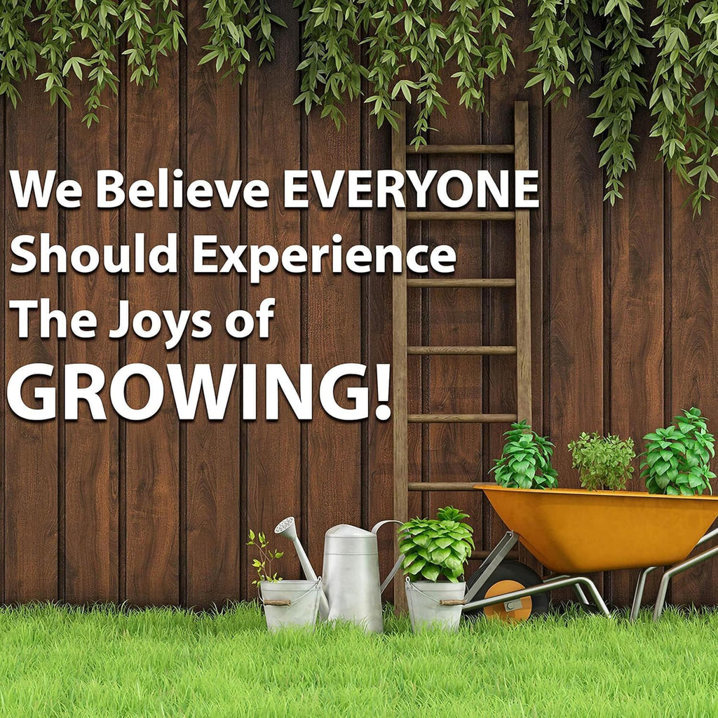 Thai Ornamental Hot Pepper 1 Gram ~430 Seeds – Non-GMO, Heirloom, Open-Pollinated – 50K–100K SHU – Compact, Upright Plants – Edible & Decorative – Heat-Tolerant