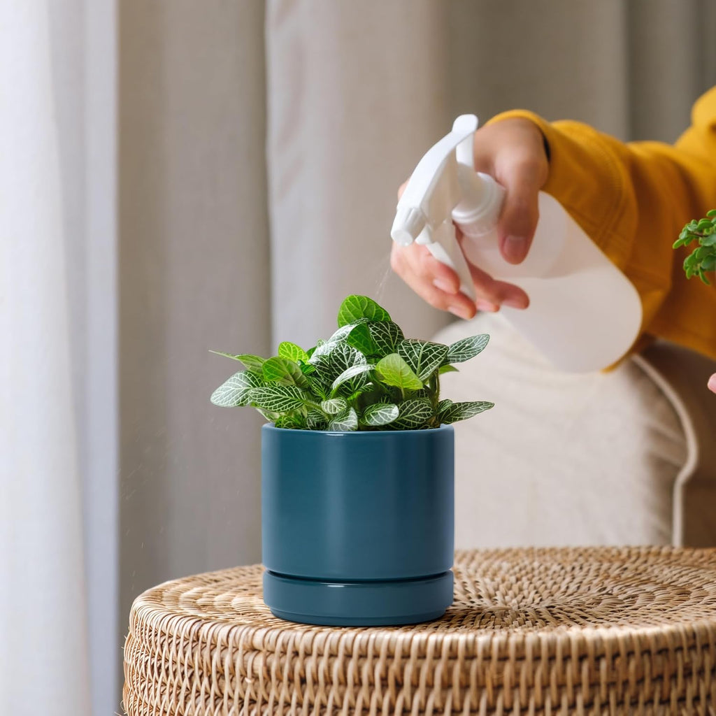 D'vine Dev 3 Inch & 4 Inch & 6 Inch, Set of 3 Round Ceramic Planter Pot with Drainage Hole and Saucer, Teal, 94-T-S-9