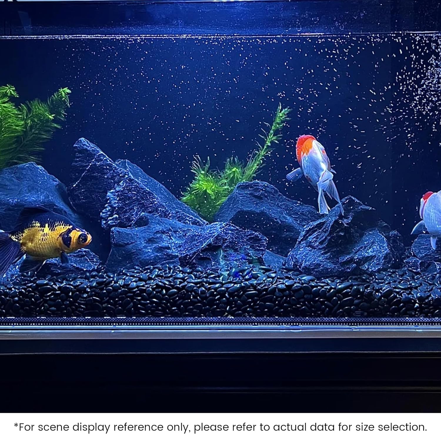 SIDONG 10 LB Black River Rocks, 0.3-0.5 Inches High Polished Pebbles for Indoor Plants, Aquarium Rocks Used in Fish Tank, Decorative Stones for Plants, Vases, Home Décor, Crafting, Garden Landscaping